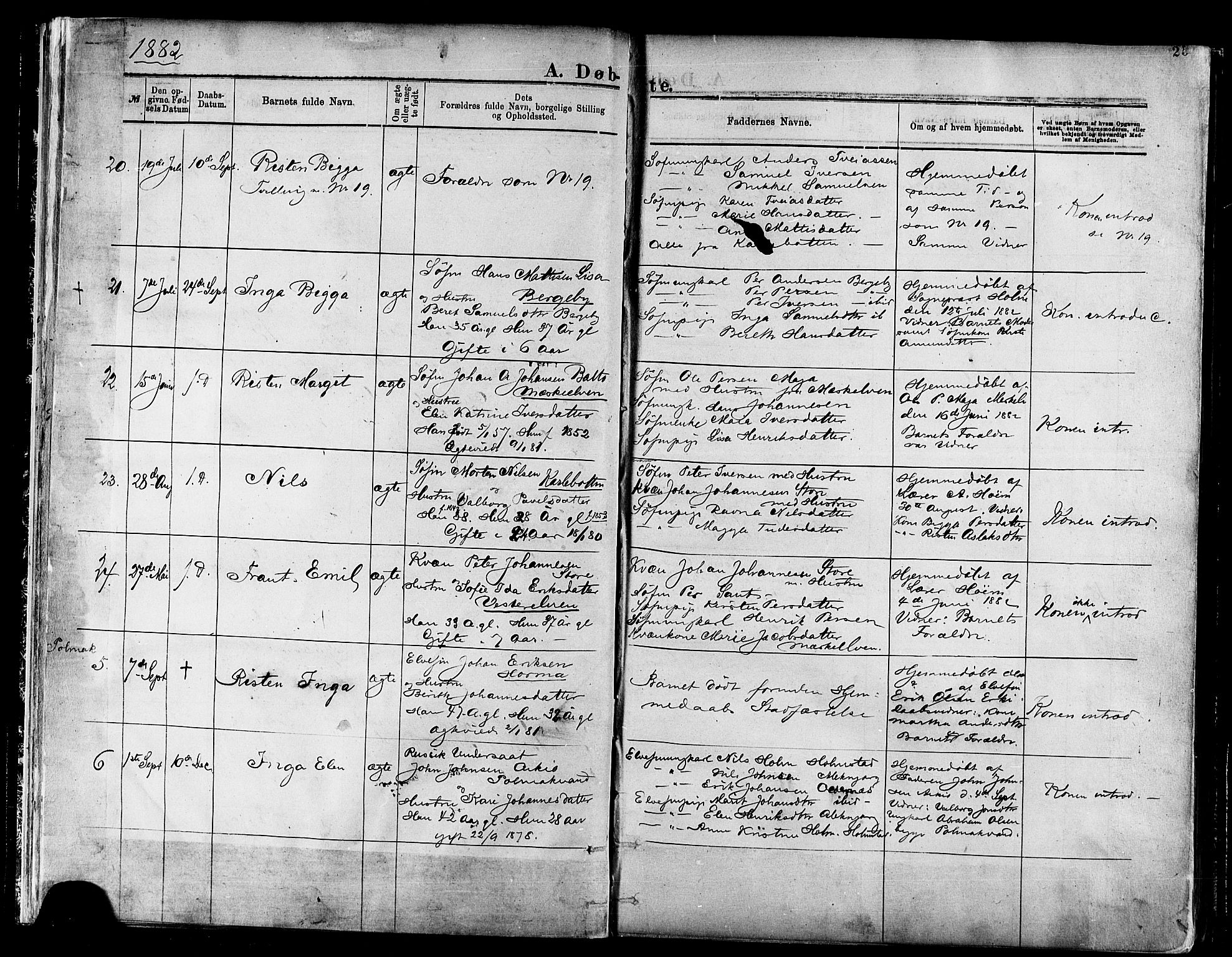 Nesseby sokneprestkontor, AV/SATØ-S-1330/H/Ha/L0004kirke: Parish register (official) no. 4, 1877-1884, p. 25