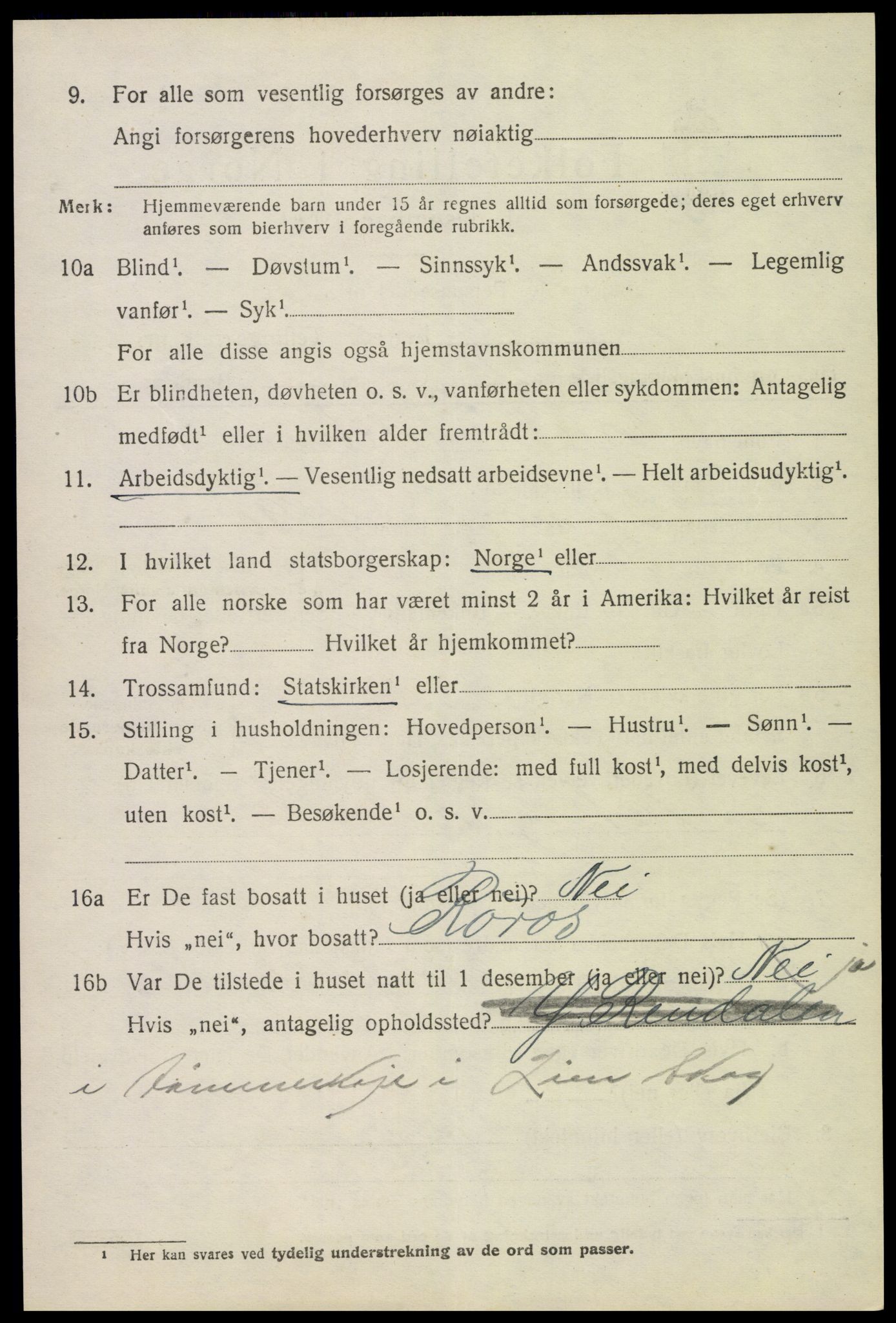 SAH, 1920 census for Ytre Rendal, 1920, p. 3908