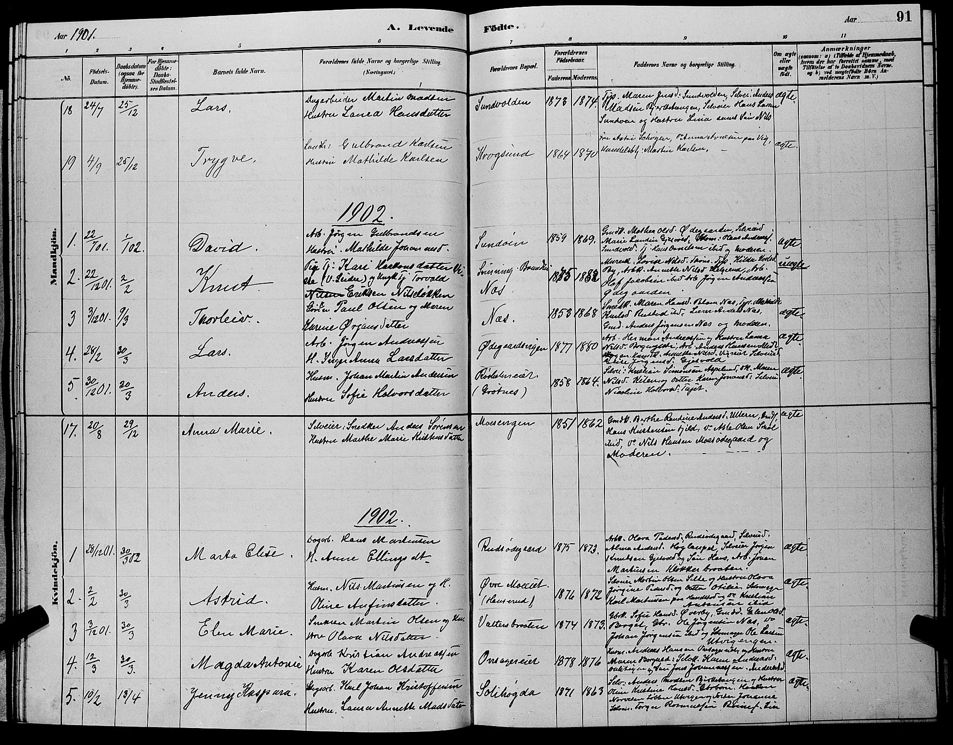 Hole kirkebøker, SAKO/A-228/G/Ga/L0003: Parish register (copy) no. I 3, 1879-1904, p. 91