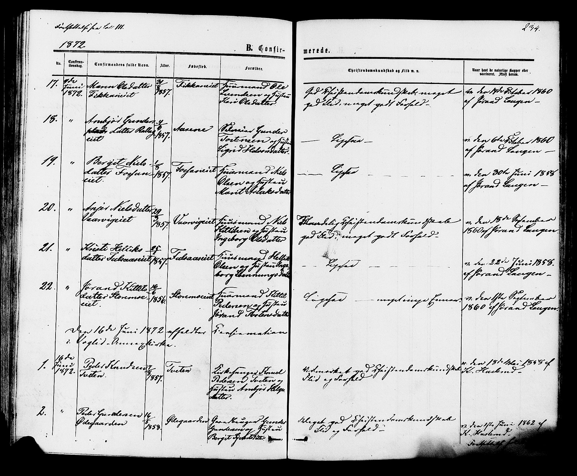 Rollag kirkebøker, AV/SAKO-A-240/F/Fa/L0009: Parish register (official) no. I 9, 1860-1874, p. 234