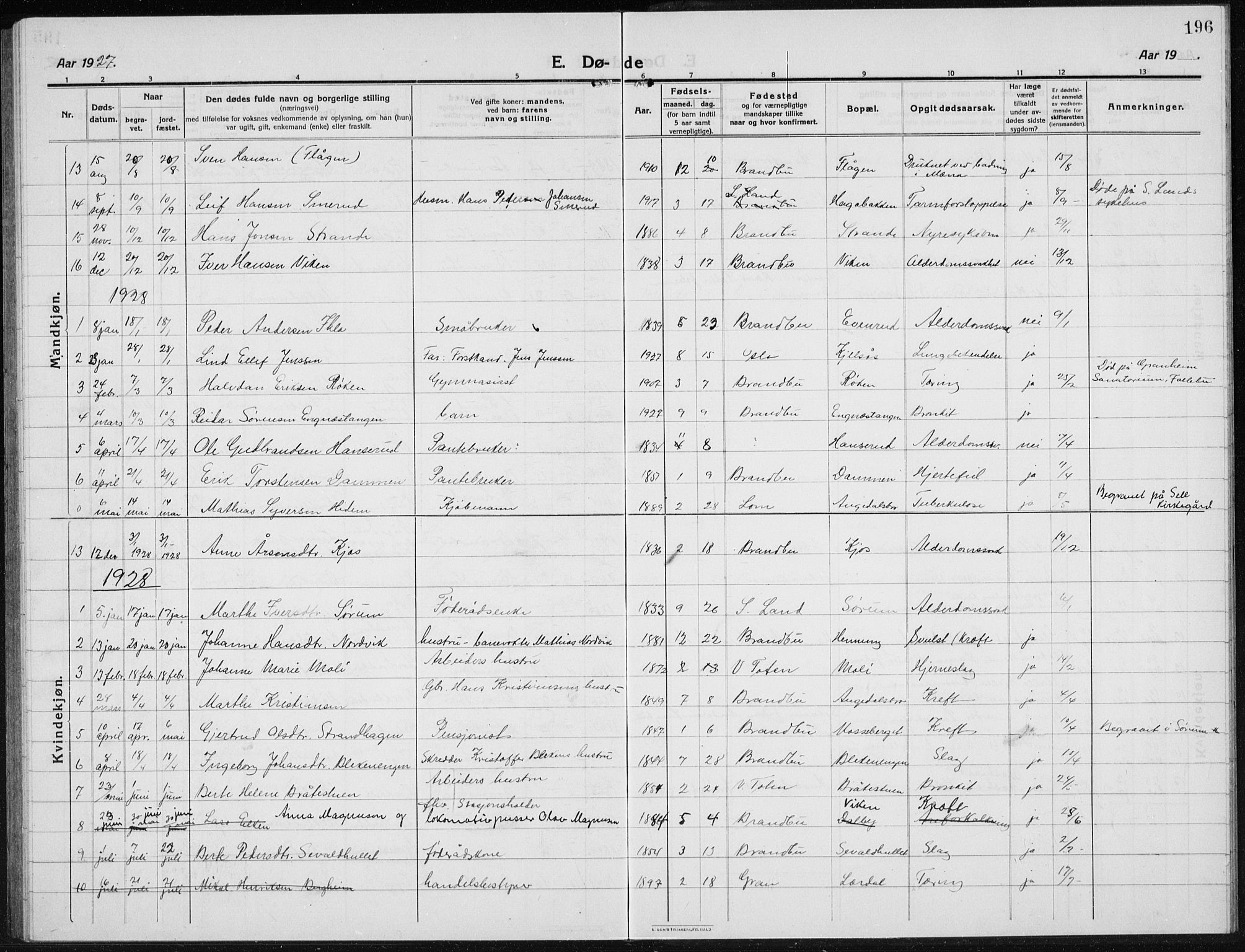 Brandbu prestekontor, SAH/PREST-114/H/Ha/Hab/L0001: Parish register (copy) no. 1, 1914-1937, p. 196