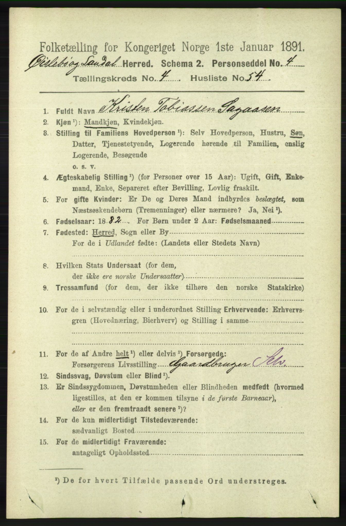 RA, 1891 census for 1021 Øyslebø og Laudal, 1891, p. 1271