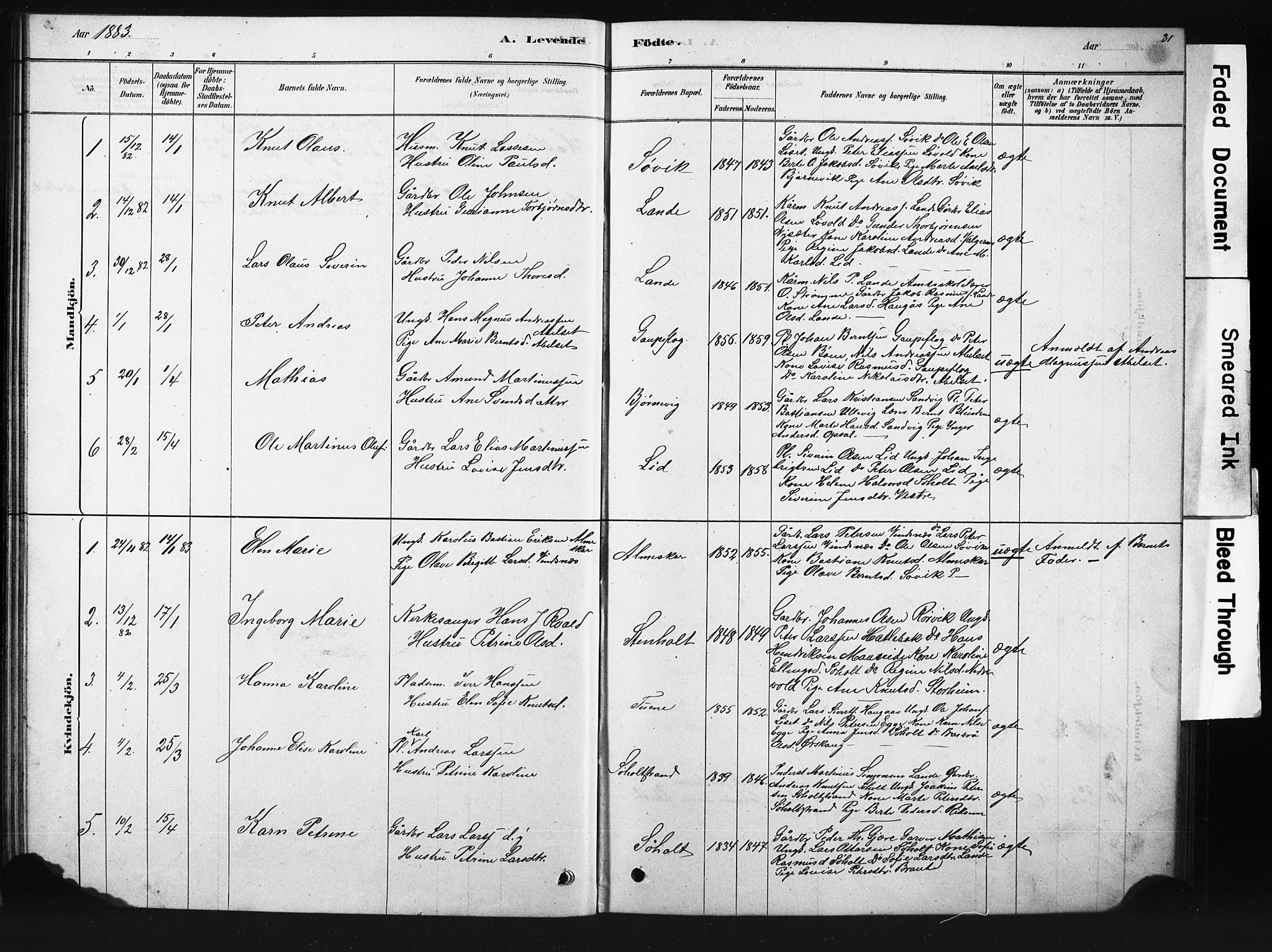Ministerialprotokoller, klokkerbøker og fødselsregistre - Møre og Romsdal, SAT/A-1454/522/L0326: Parish register (copy) no. 522C05, 1878-1890, p. 31