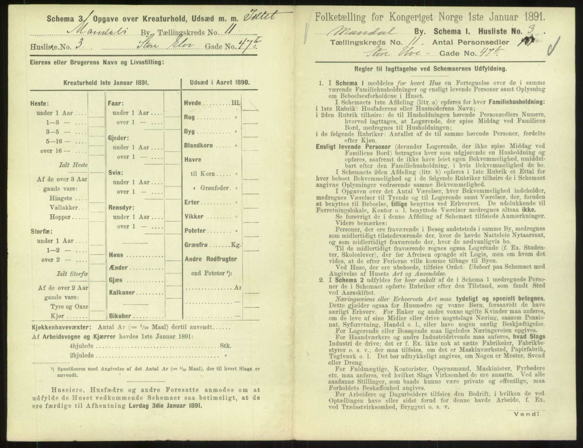 RA, 1891 census for 1002 Mandal, 1891, p. 531