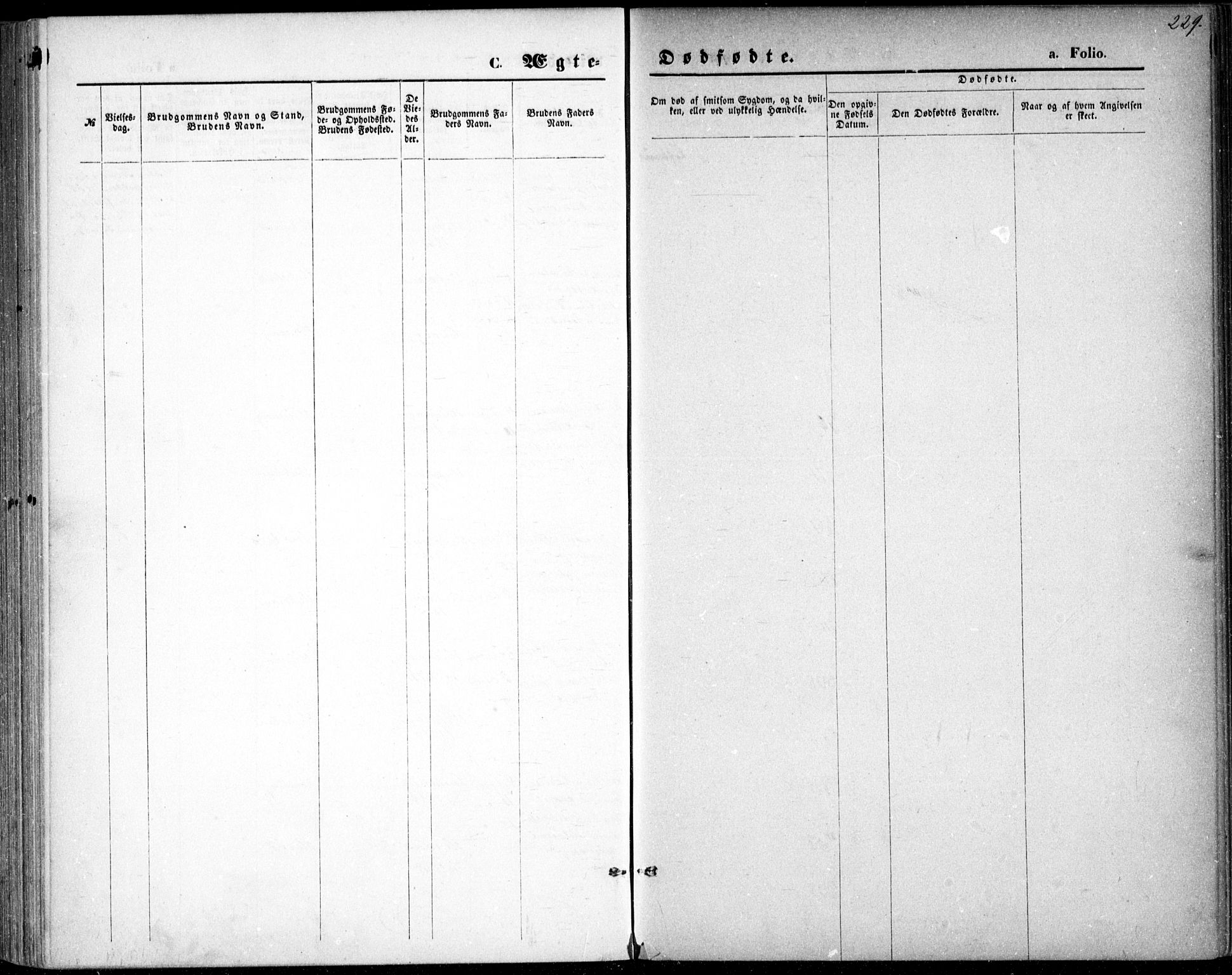 Vestre Moland sokneprestkontor, SAK/1111-0046/F/Fb/Fbb/L0005: Parish register (copy) no. B 5, 1872-1883, p. 229