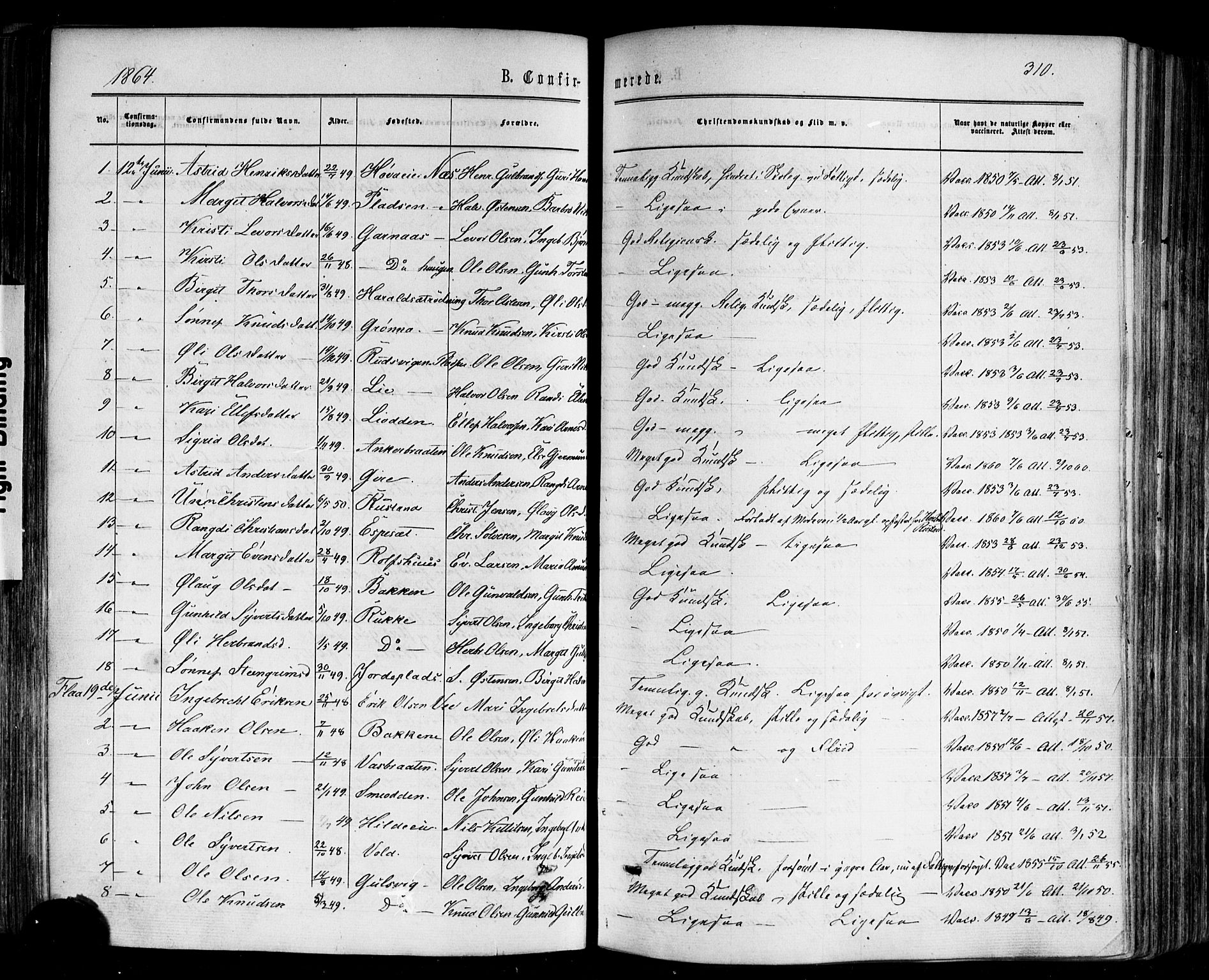 Nes kirkebøker, SAKO/A-236/F/Fa/L0010: Parish register (official) no. 10, 1864-1880, p. 310