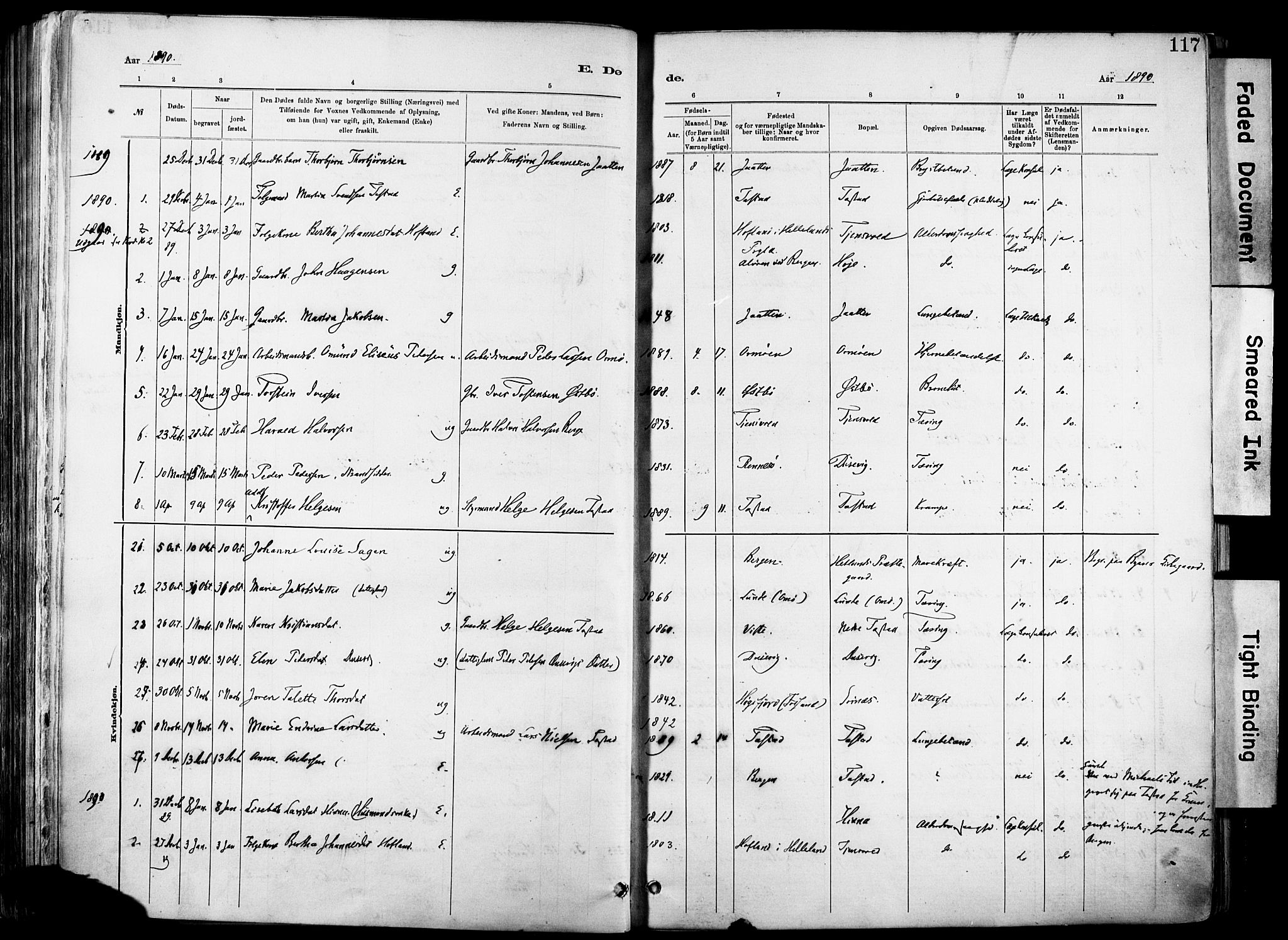Hetland sokneprestkontor, SAST/A-101826/30/30BA/L0012: Parish register (official) no. A 12, 1882-1912, p. 117