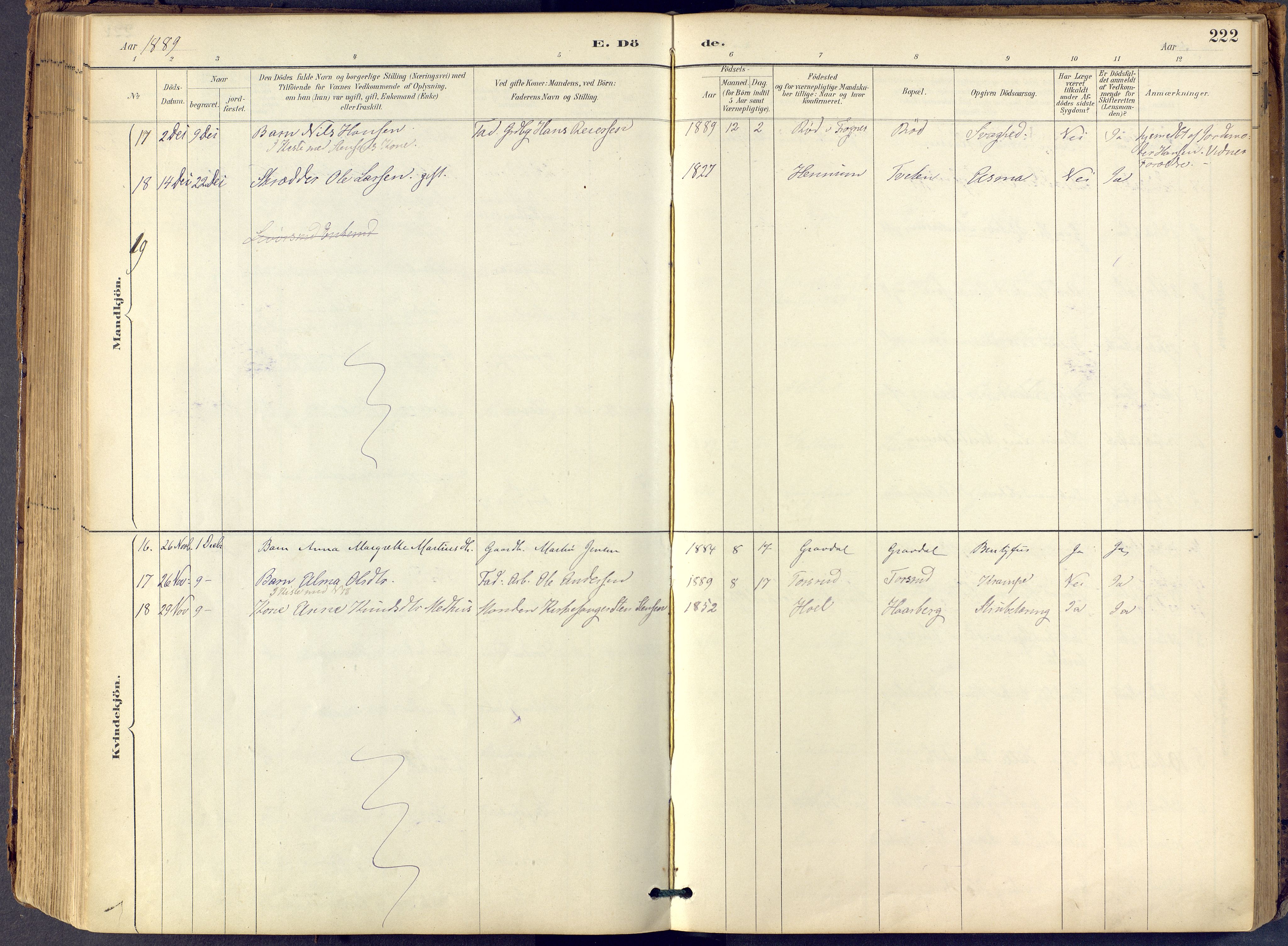 Lier kirkebøker, AV/SAKO-A-230/F/Fb/L0001: Parish register (official) no. II 1, 1883-1910, p. 222