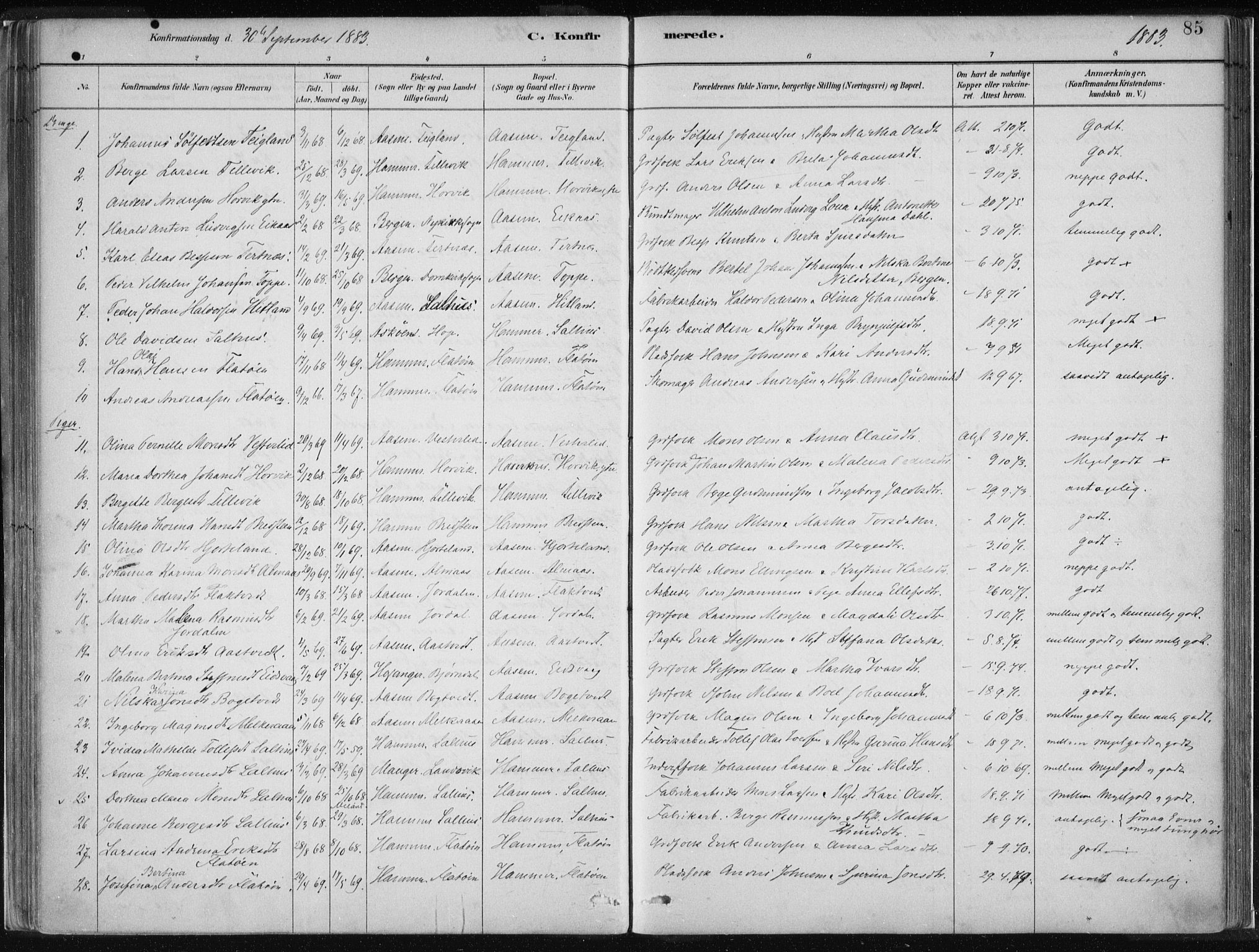Hamre sokneprestembete, SAB/A-75501/H/Ha/Haa/Haad/L0001: Parish register (official) no. D  1, 1882-1906, p. 85