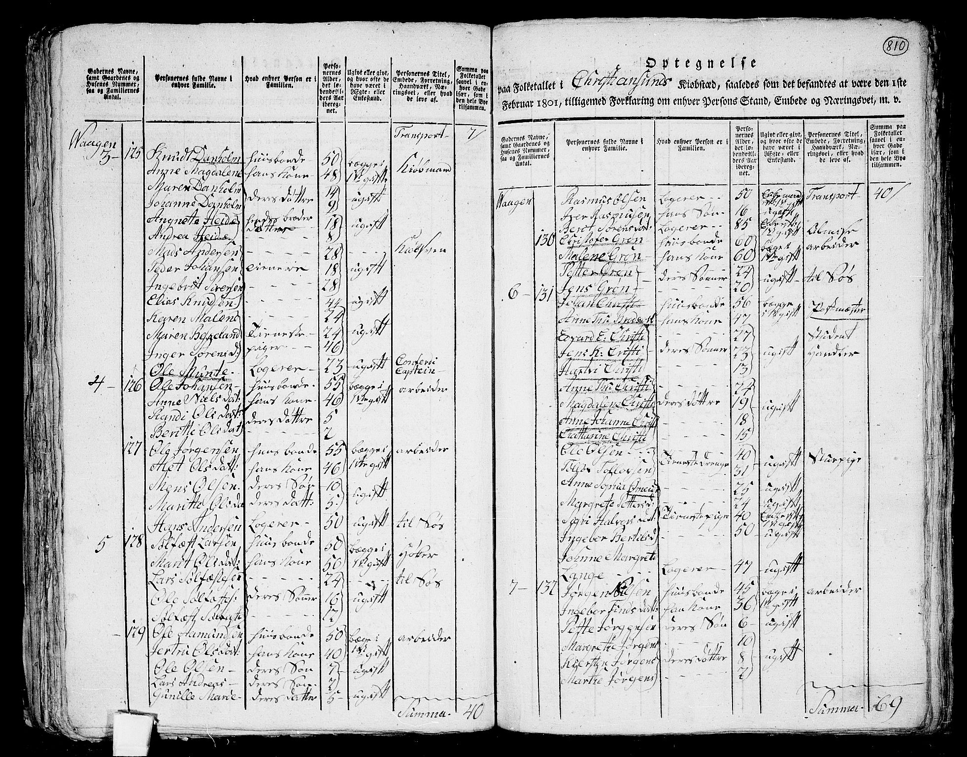 RA, 1801 census for 1553P Kvernes, 1801, p. 809b-810a