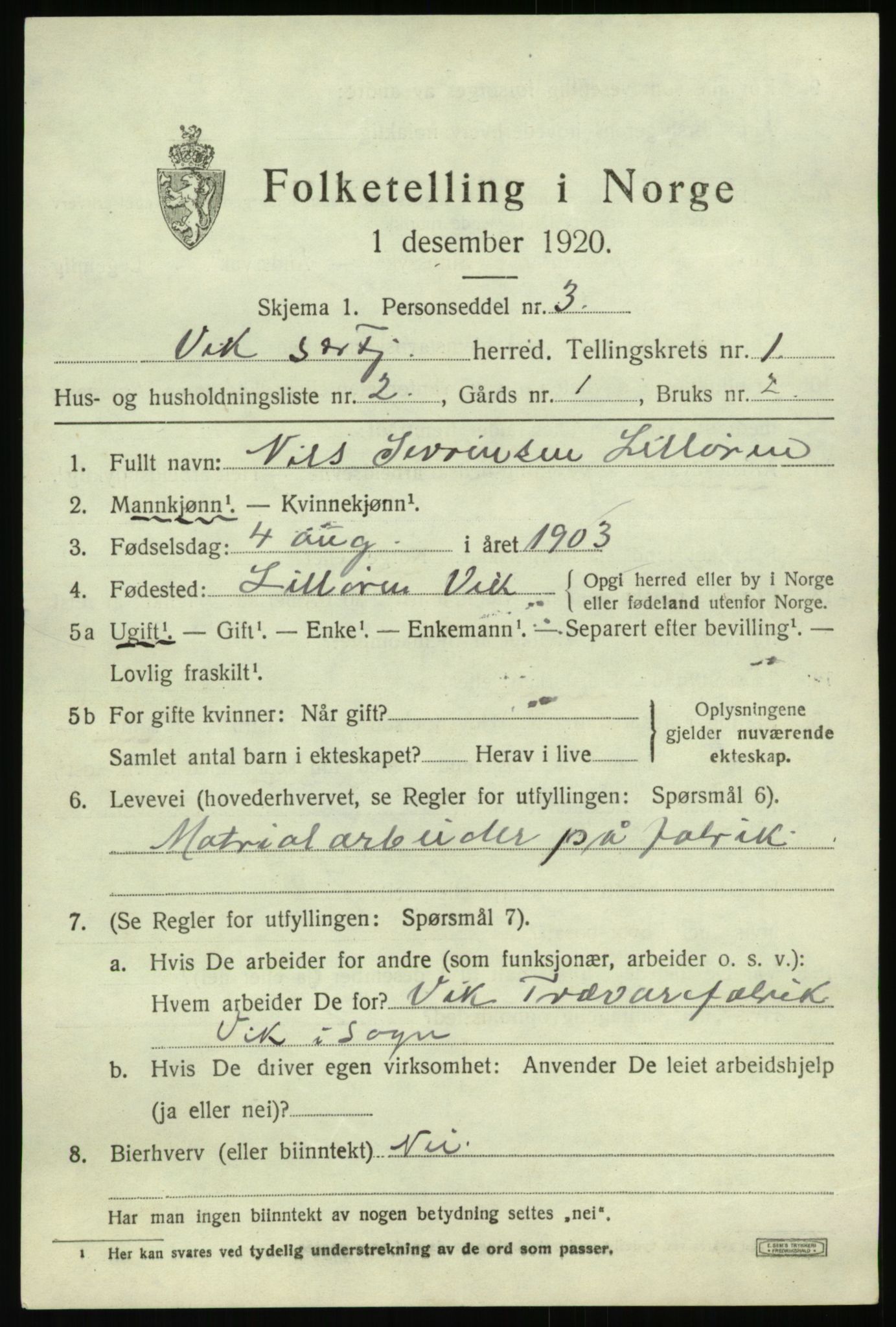 SAB, 1920 census for Vik, 1920, p. 1313