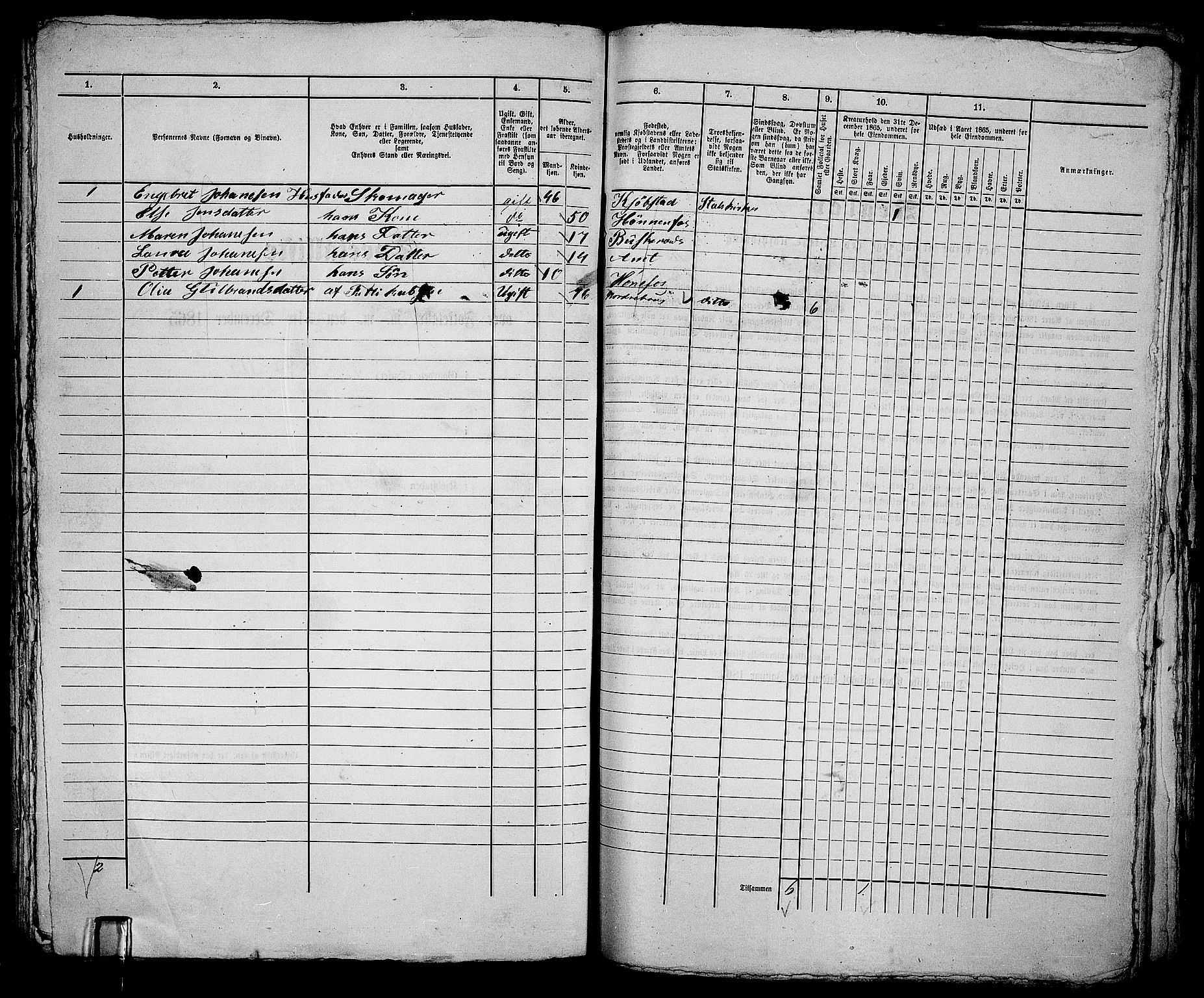 RA, 1865 census for Norderhov/Hønefoss, 1865, p. 267