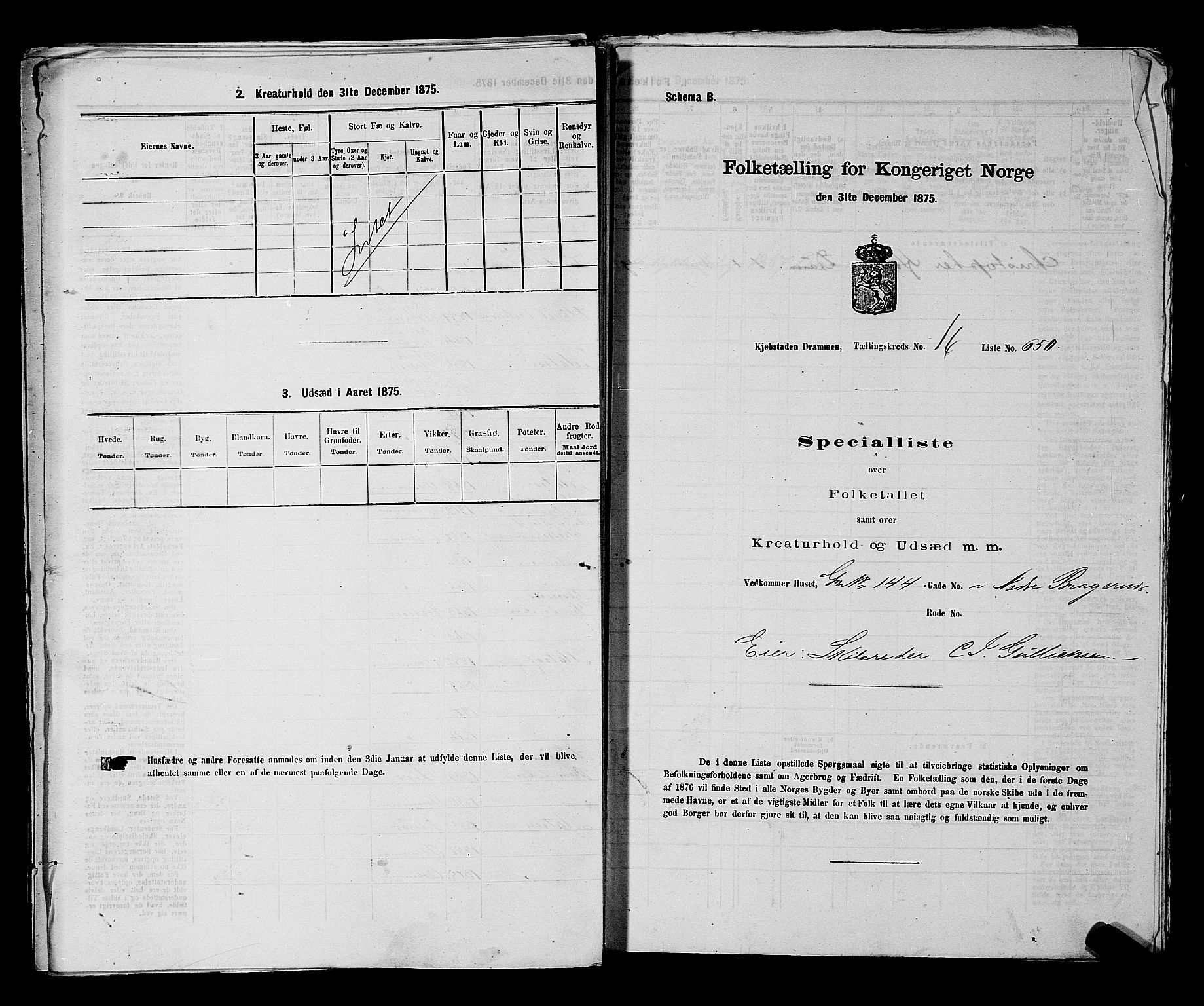 SAKO, 1875 census for 0602 Drammen, 1875, p. 1838