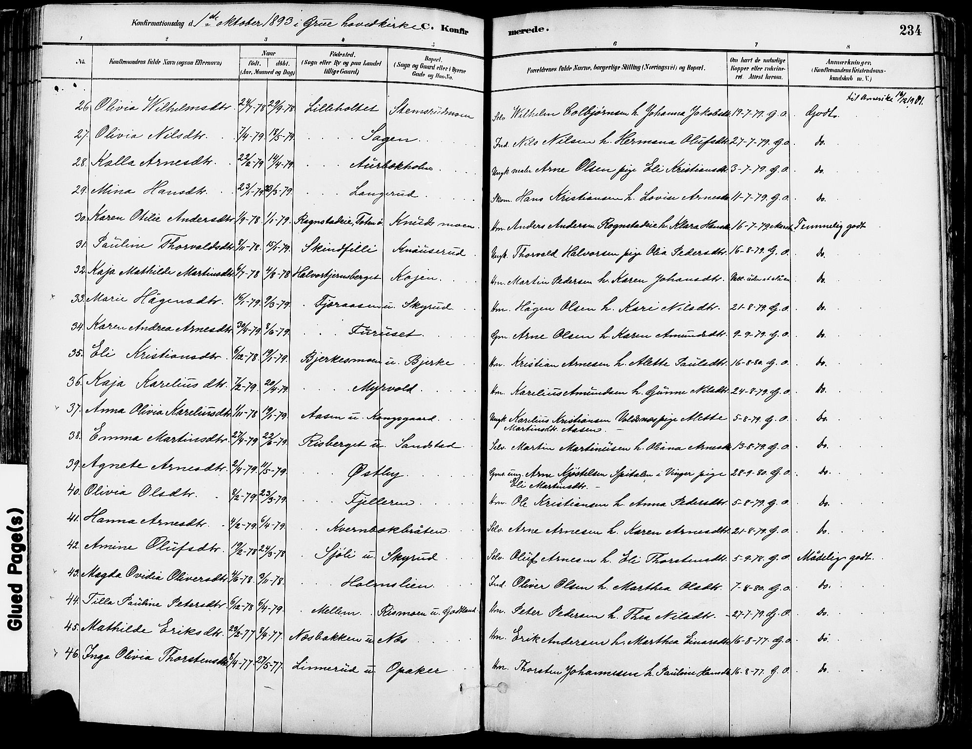 Grue prestekontor, AV/SAH-PREST-036/H/Ha/Haa/L0012: Parish register (official) no. 12, 1881-1897, p. 234