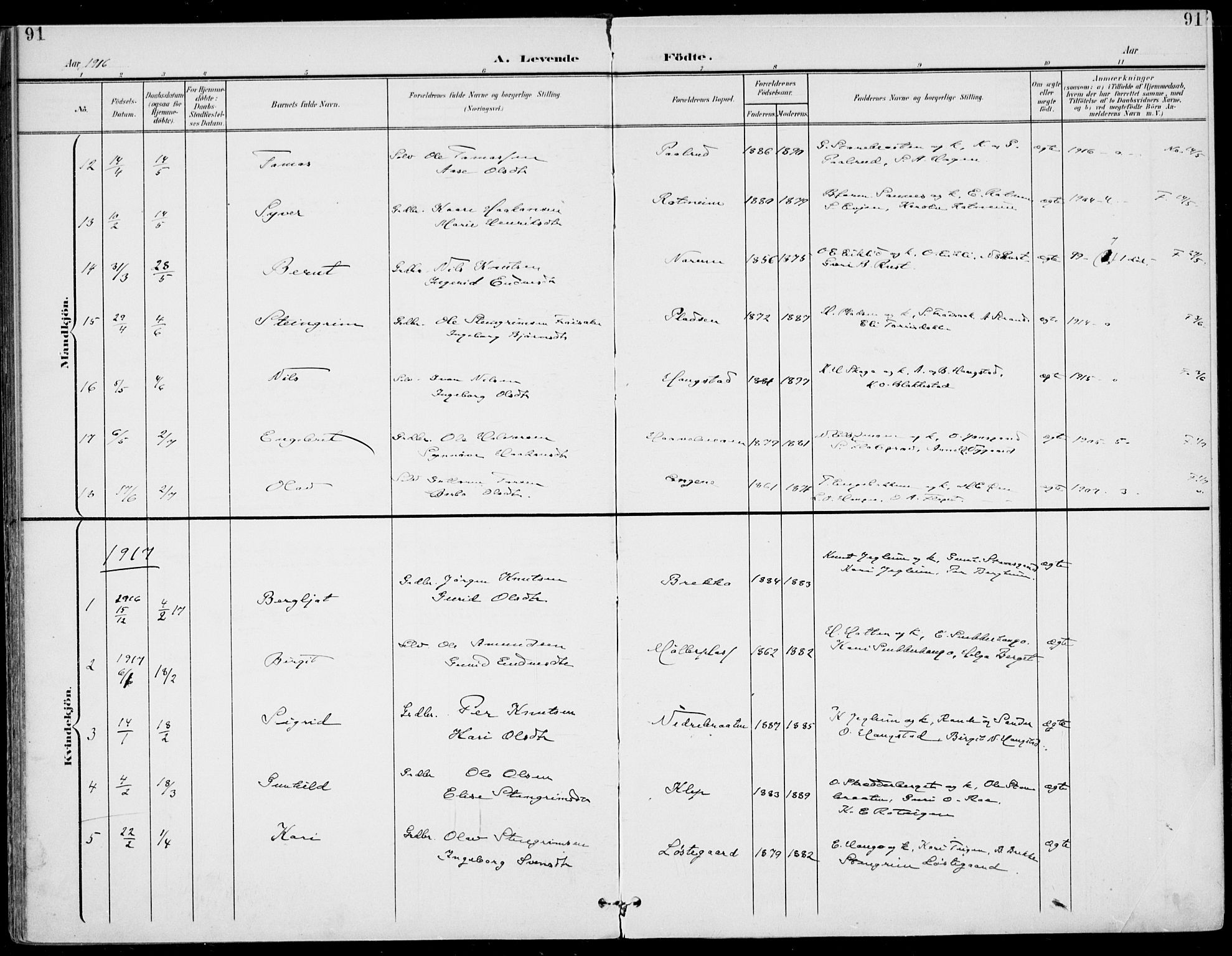 Gol kirkebøker, SAKO/A-226/F/Fa/L0006: Parish register (official) no. I 6, 1901-1918, p. 91