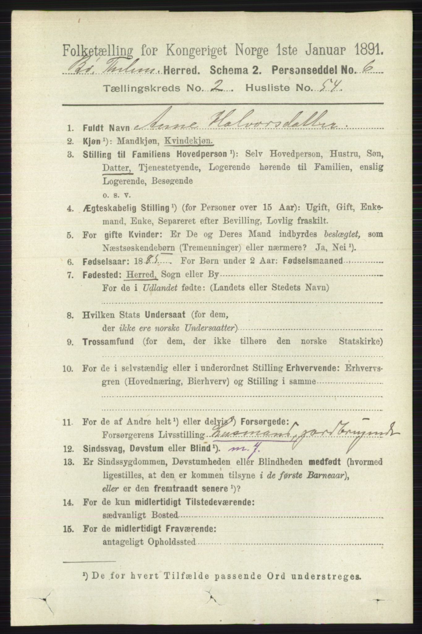 RA, 1891 census for 0821 Bø, 1891, p. 963