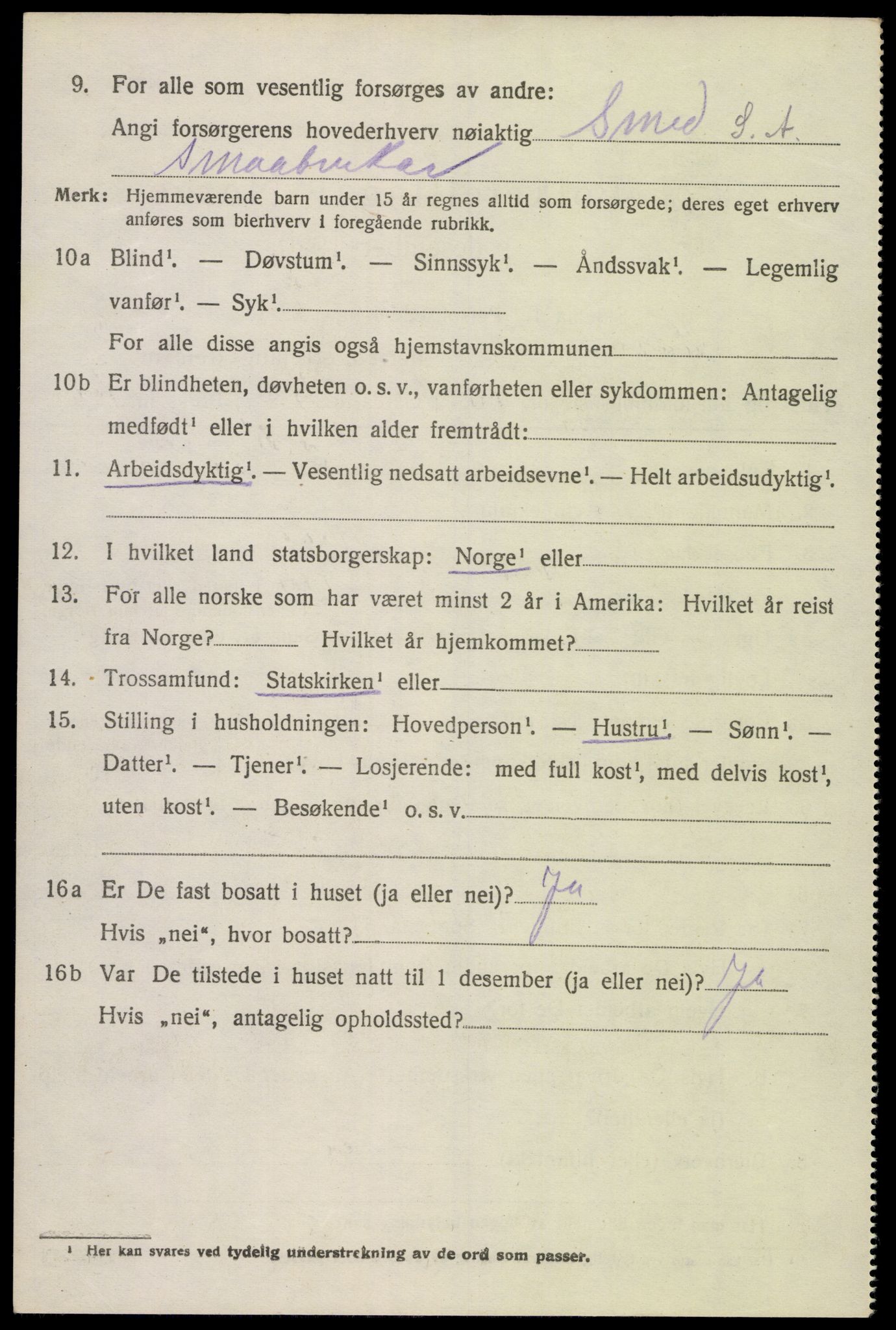 SAK, 1920 census for Hornnes, 1920, p. 1016