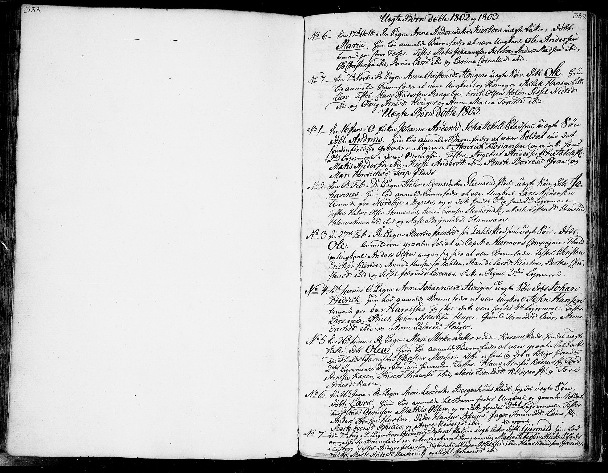 Rakkestad prestekontor Kirkebøker, SAO/A-2008/F/Fa/L0005: Parish register (official) no. I 5, 1784-1814, p. 388-389