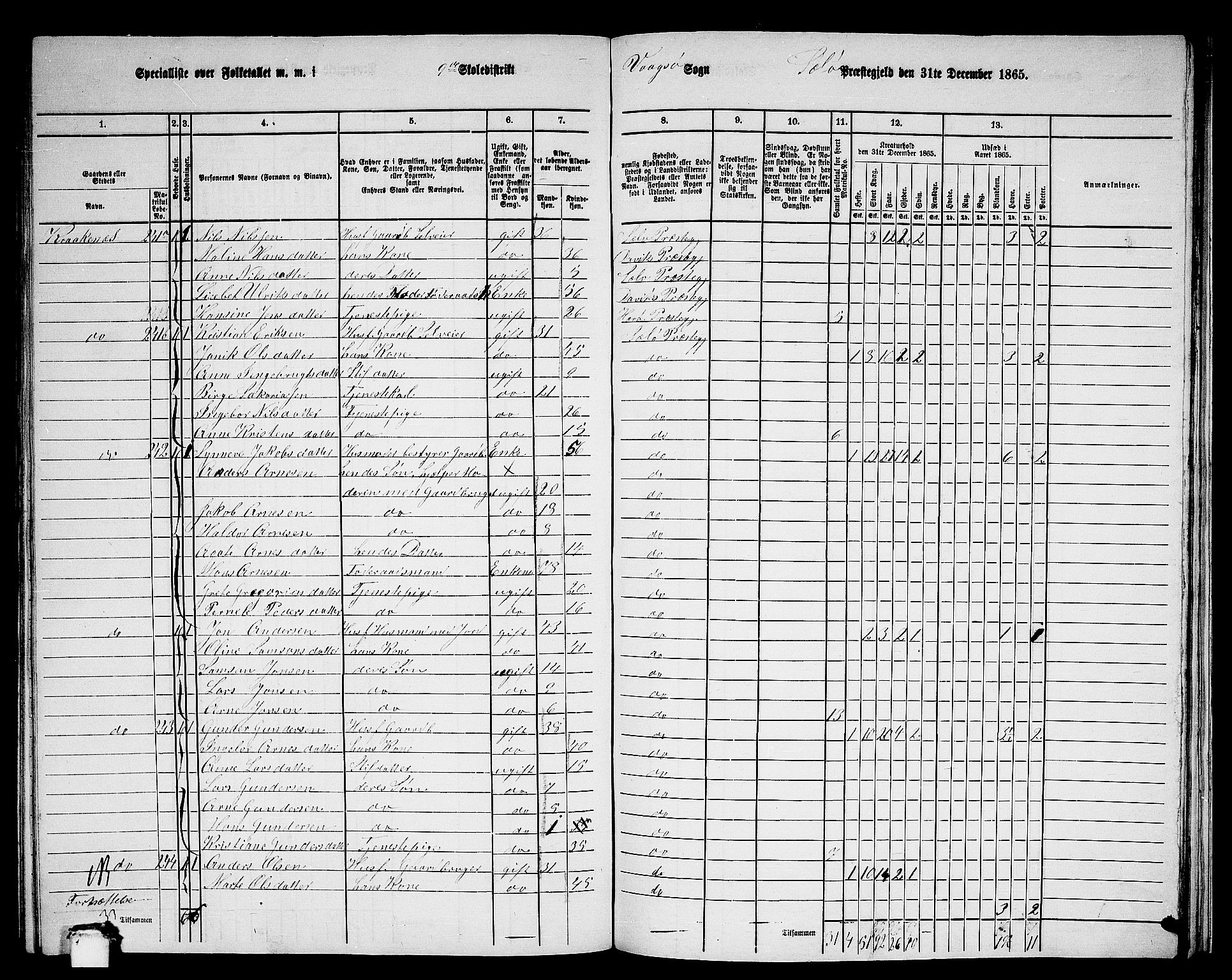 RA, 1865 census for Selje, 1865, p. 147