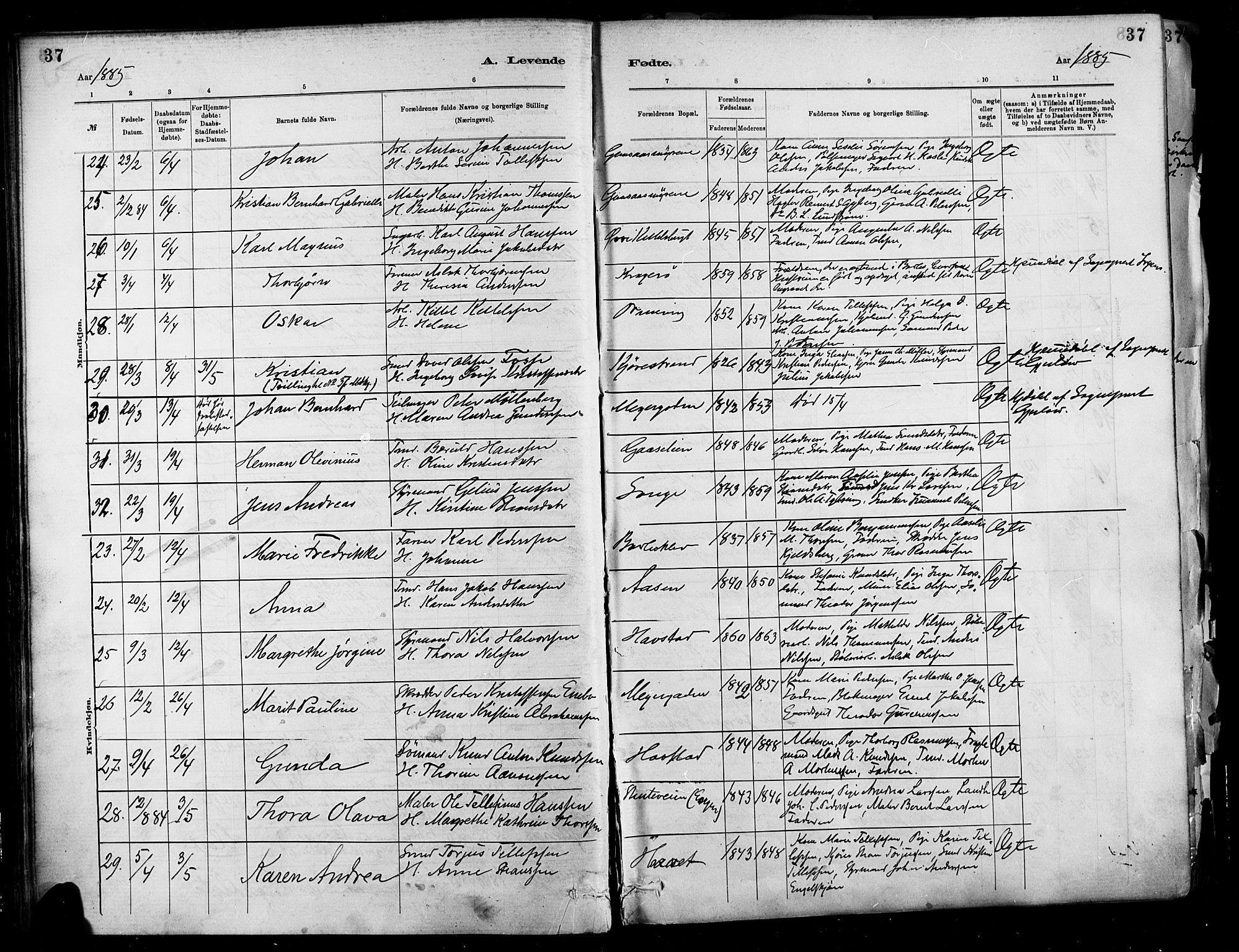 Barbu sokneprestkontor, SAK/1111-0003/F/Fa/L0002: Parish register (official) no. A 2, 1883-1898, p. 37