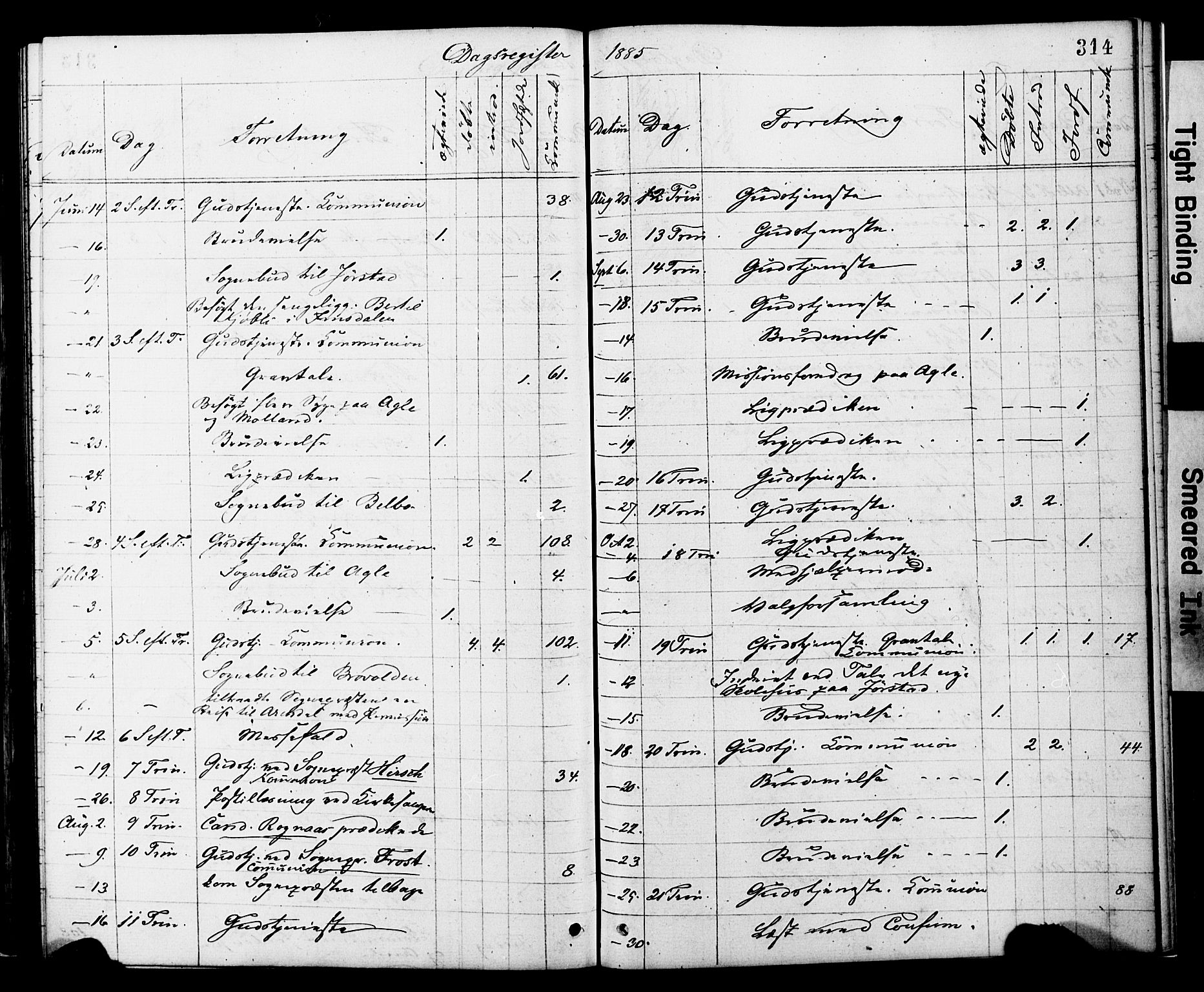 Ministerialprotokoller, klokkerbøker og fødselsregistre - Nord-Trøndelag, SAT/A-1458/749/L0473: Parish register (official) no. 749A07, 1873-1887, p. 314