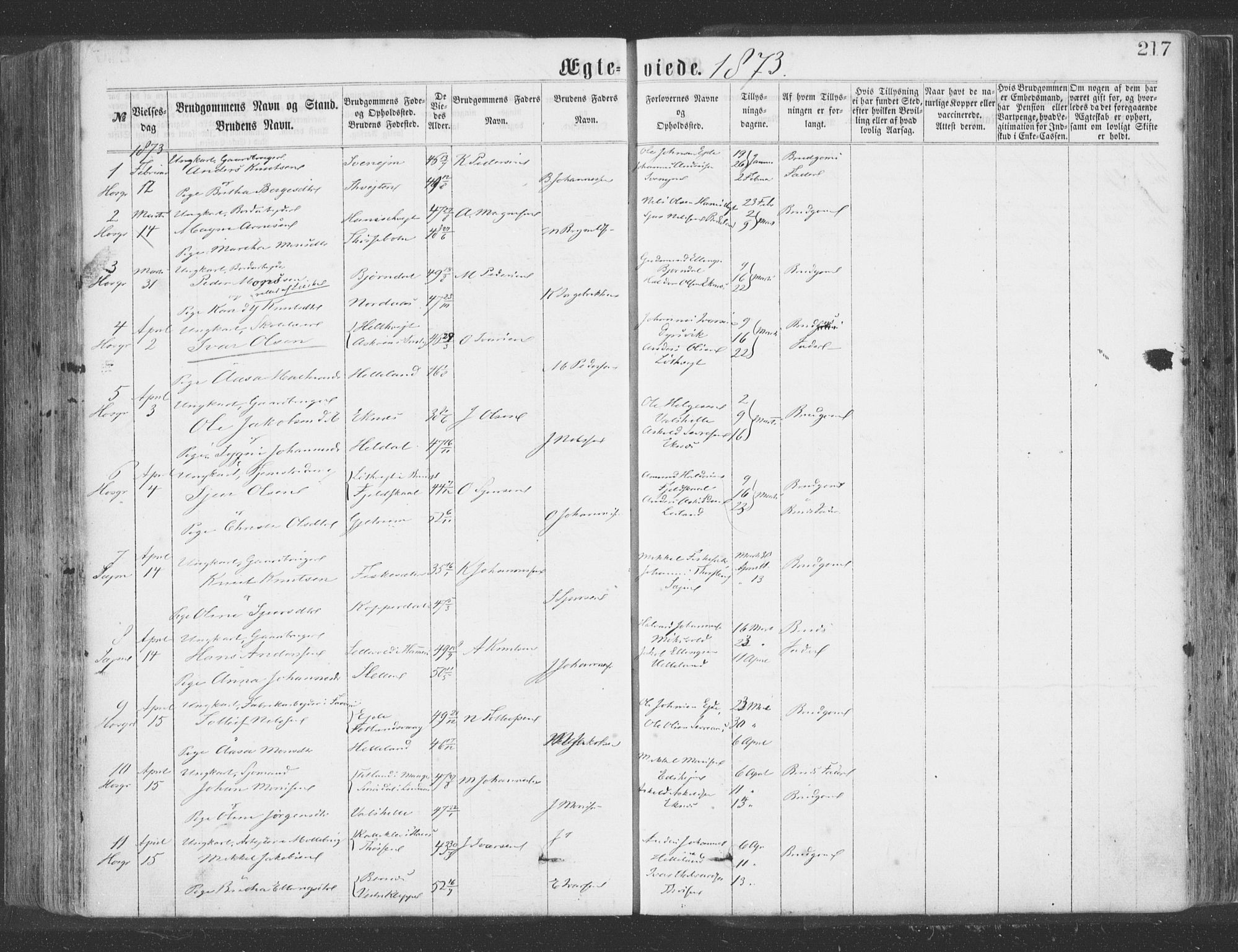 Hosanger sokneprestembete, AV/SAB-A-75801/H/Haa: Parish register (official) no. A 9, 1864-1876, p. 217