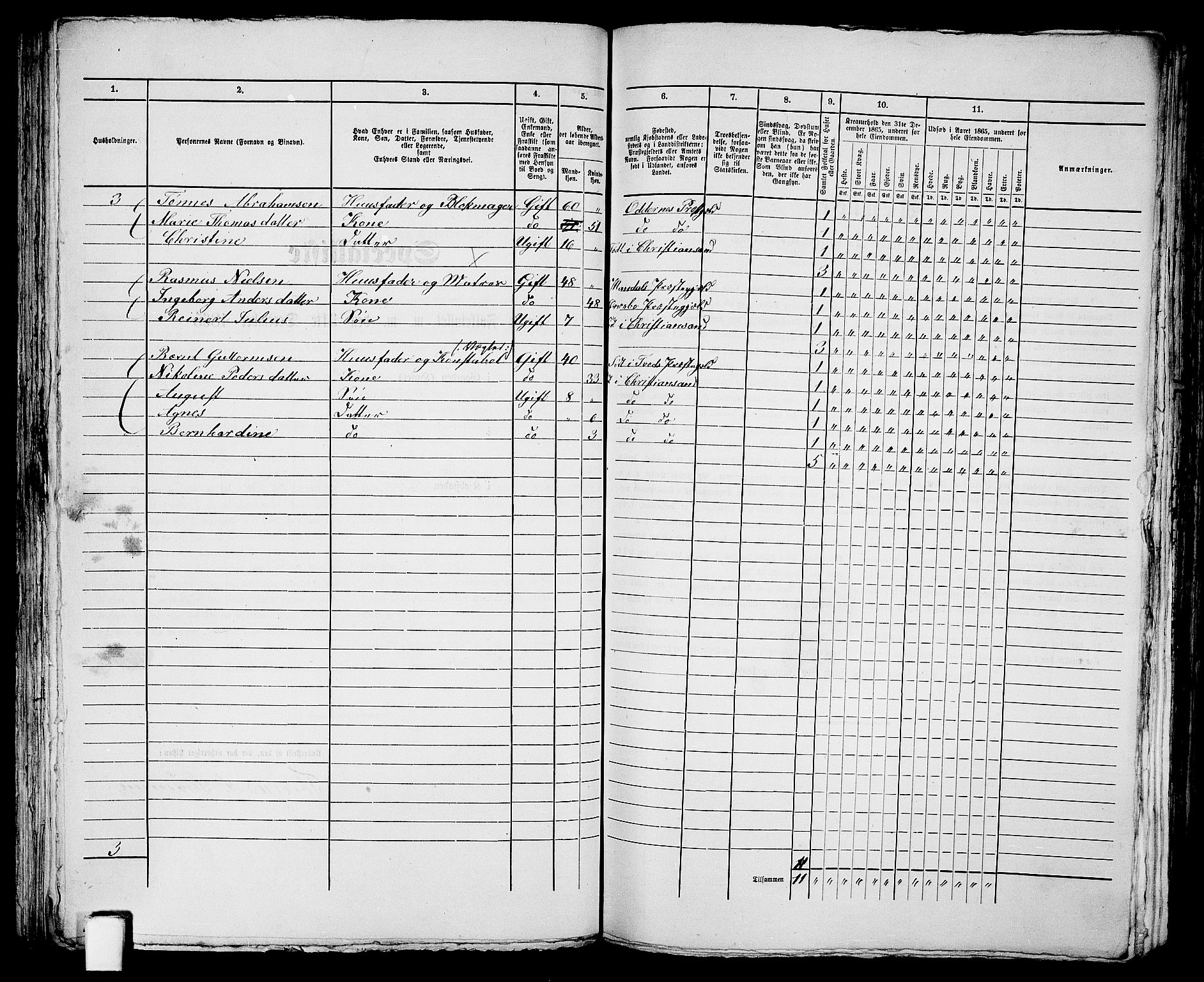 RA, 1865 census for Kristiansand, 1865, p. 665