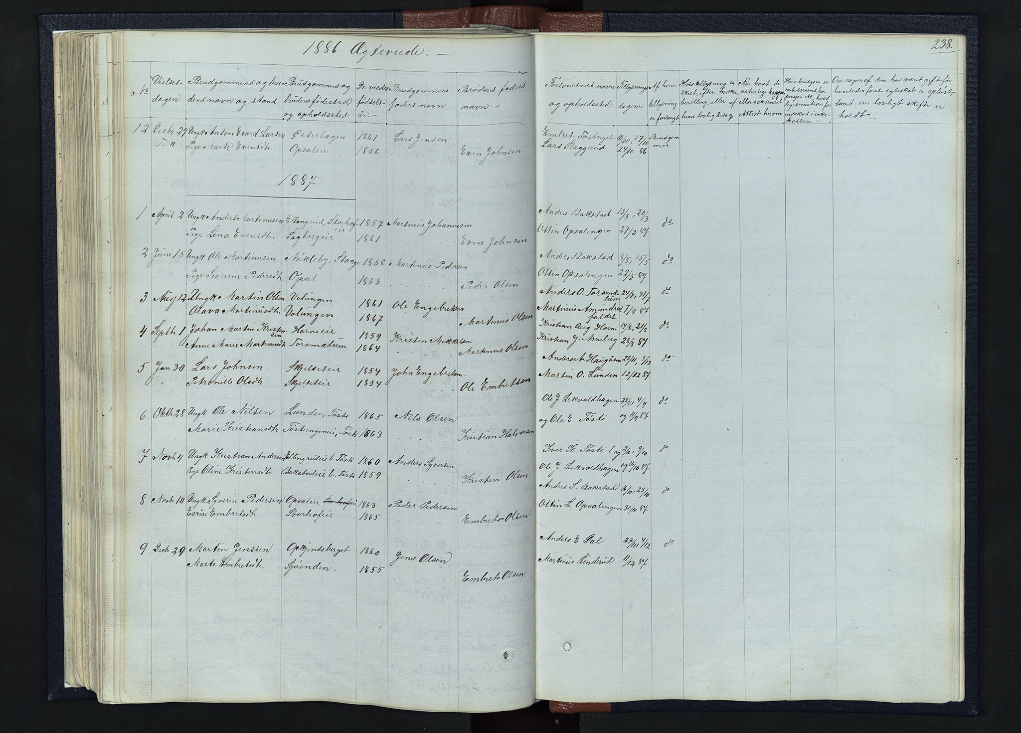 Romedal prestekontor, SAH/PREST-004/L/L0010: Parish register (copy) no. 10, 1860-1895, p. 238