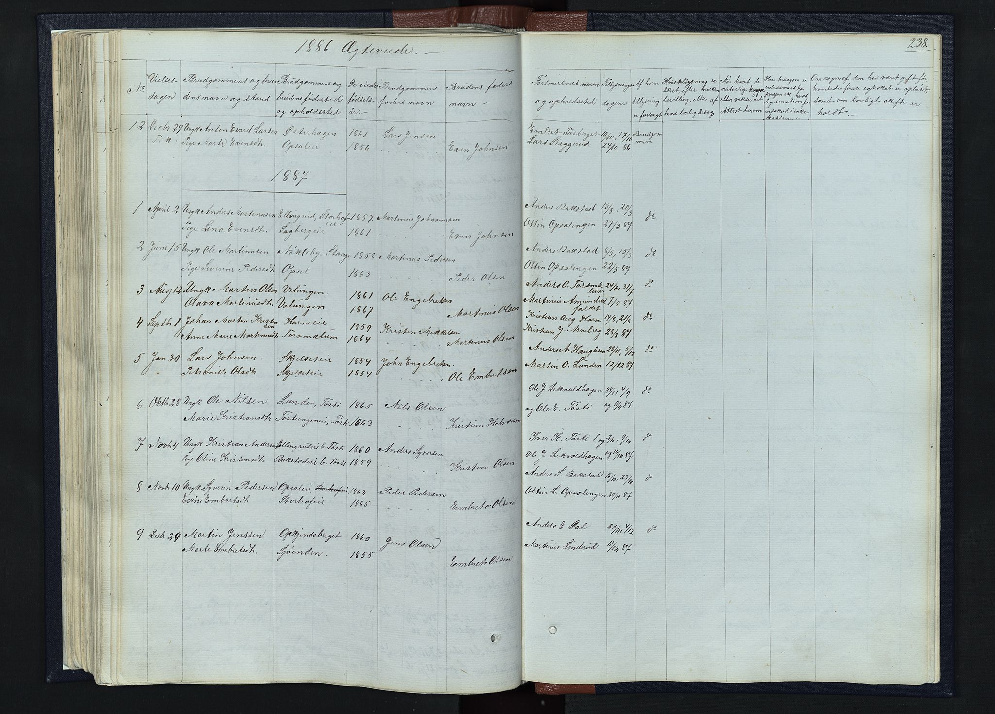 Romedal prestekontor, AV/SAH-PREST-004/L/L0010: Parish register (copy) no. 10, 1860-1895, p. 238