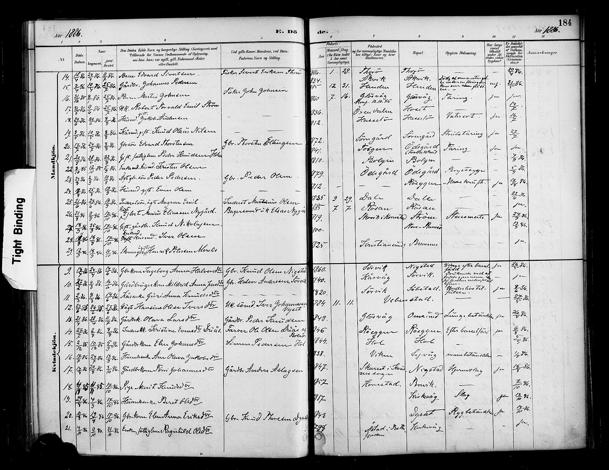 Ministerialprotokoller, klokkerbøker og fødselsregistre - Møre og Romsdal, AV/SAT-A-1454/569/L0819: Parish register (official) no. 569A05, 1885-1899, p. 184