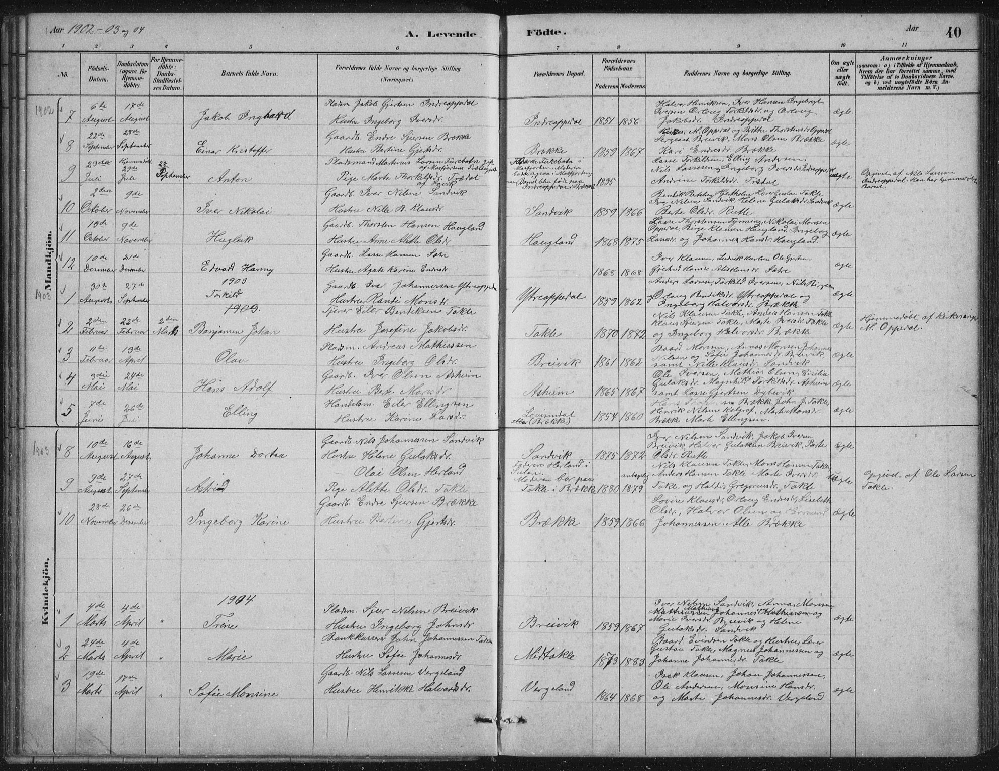 Gulen sokneprestembete, AV/SAB-A-80201/H/Hab/Habc/L0002: Parish register (copy) no. C 2, 1880-1938, p. 40