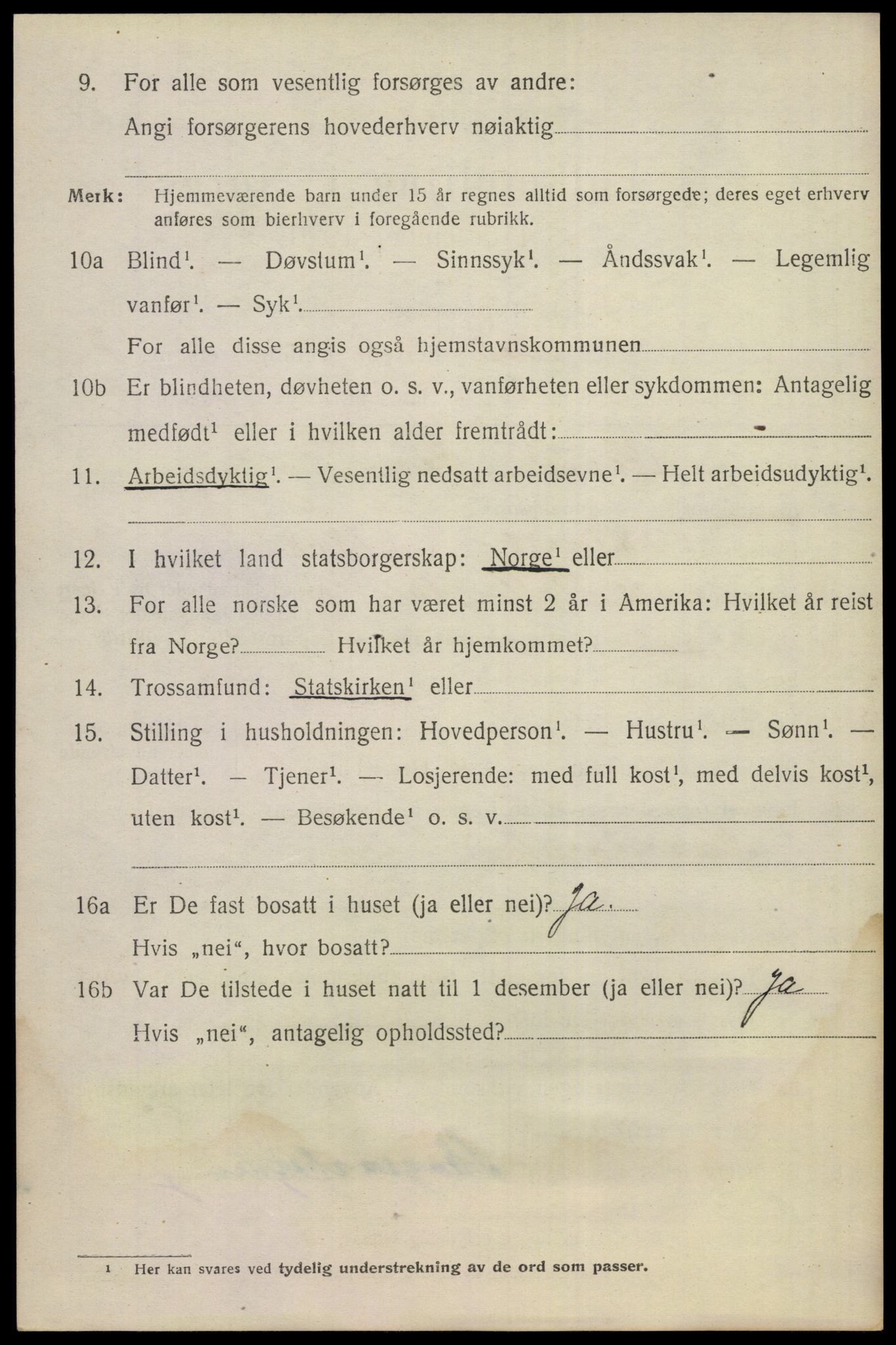 SAKO, 1920 census for Nes (Buskerud), 1920, p. 5017