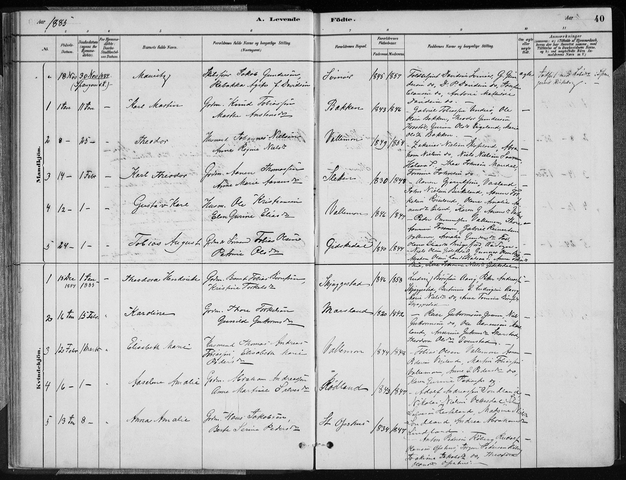 Sør-Audnedal sokneprestkontor, AV/SAK-1111-0039/F/Fa/Fab/L0009: Parish register (official) no. A 9, 1880-1895, p. 40