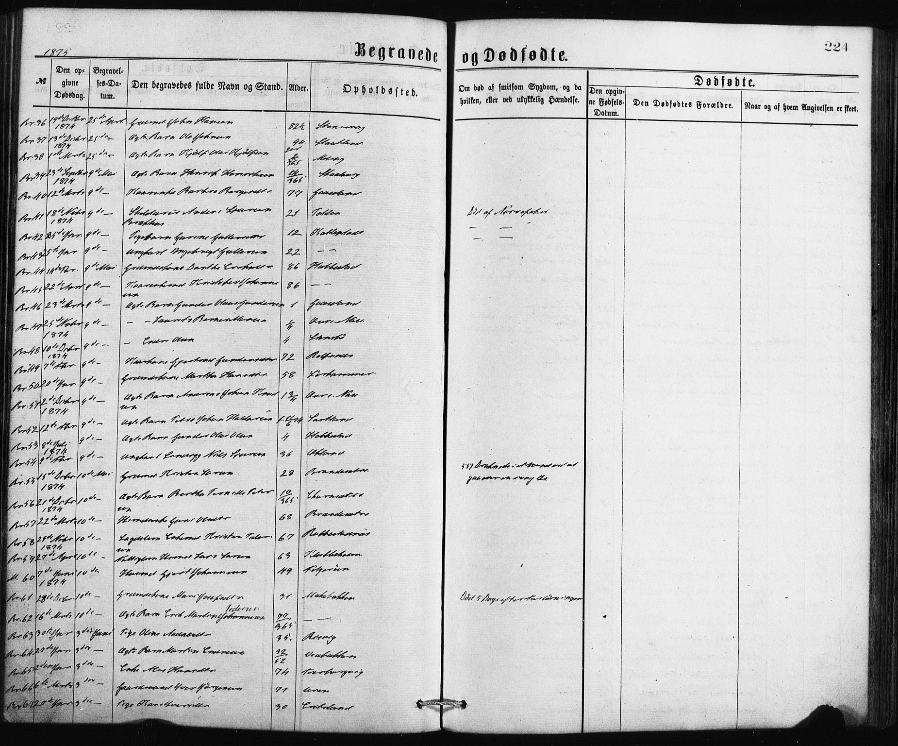 Finnås sokneprestembete, AV/SAB-A-99925/H/Ha/Haa/Haaa/L0009: Parish register (official) no. A 9, 1873-1881, p. 224