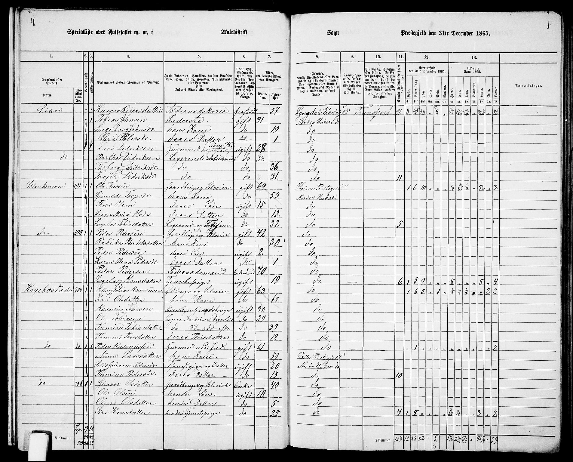 RA, 1865 census for Nord-Audnedal, 1865, p. 15