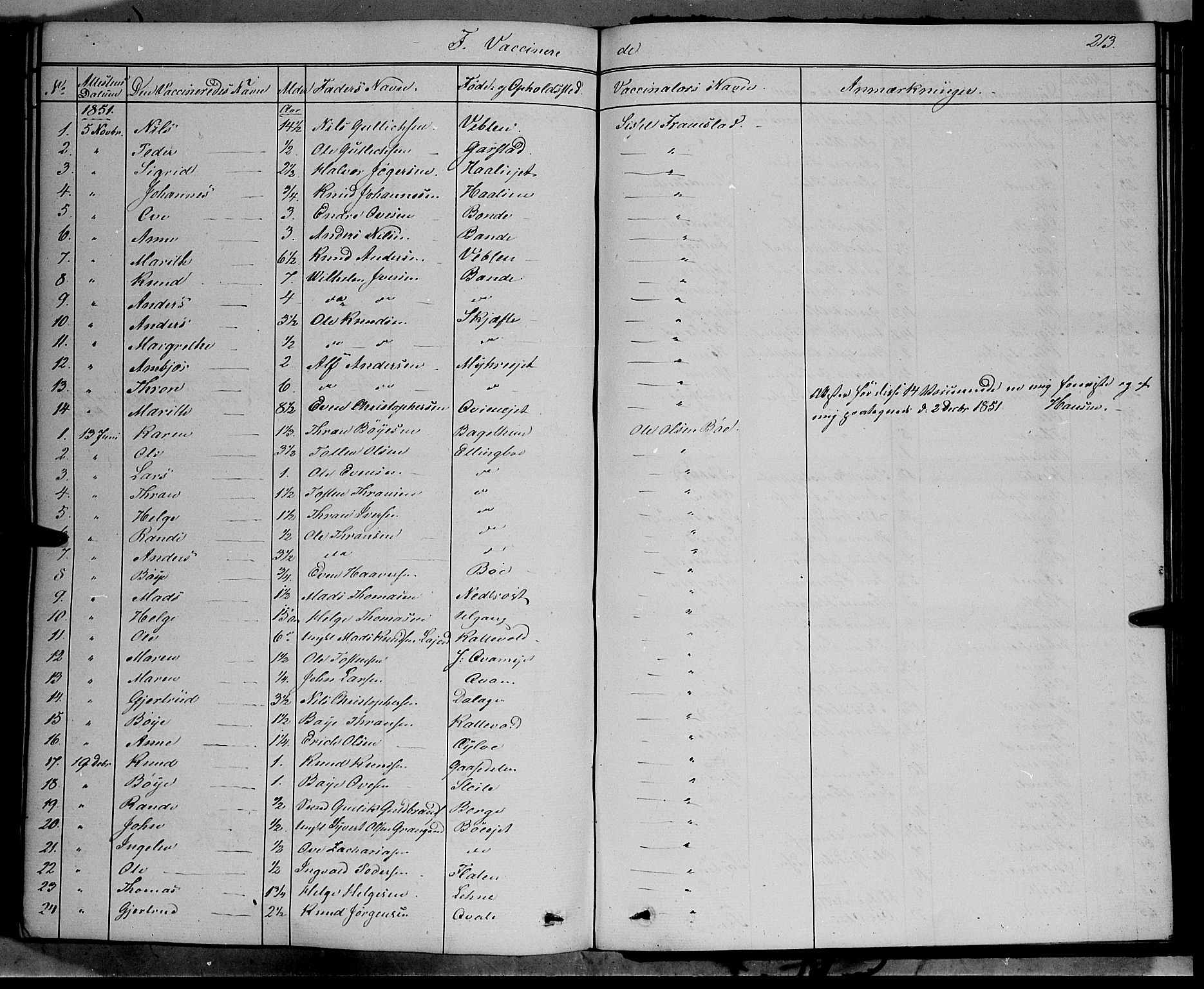 Vang prestekontor, Valdres, AV/SAH-PREST-140/H/Ha/L0006: Parish register (official) no. 6, 1846-1864, p. 213