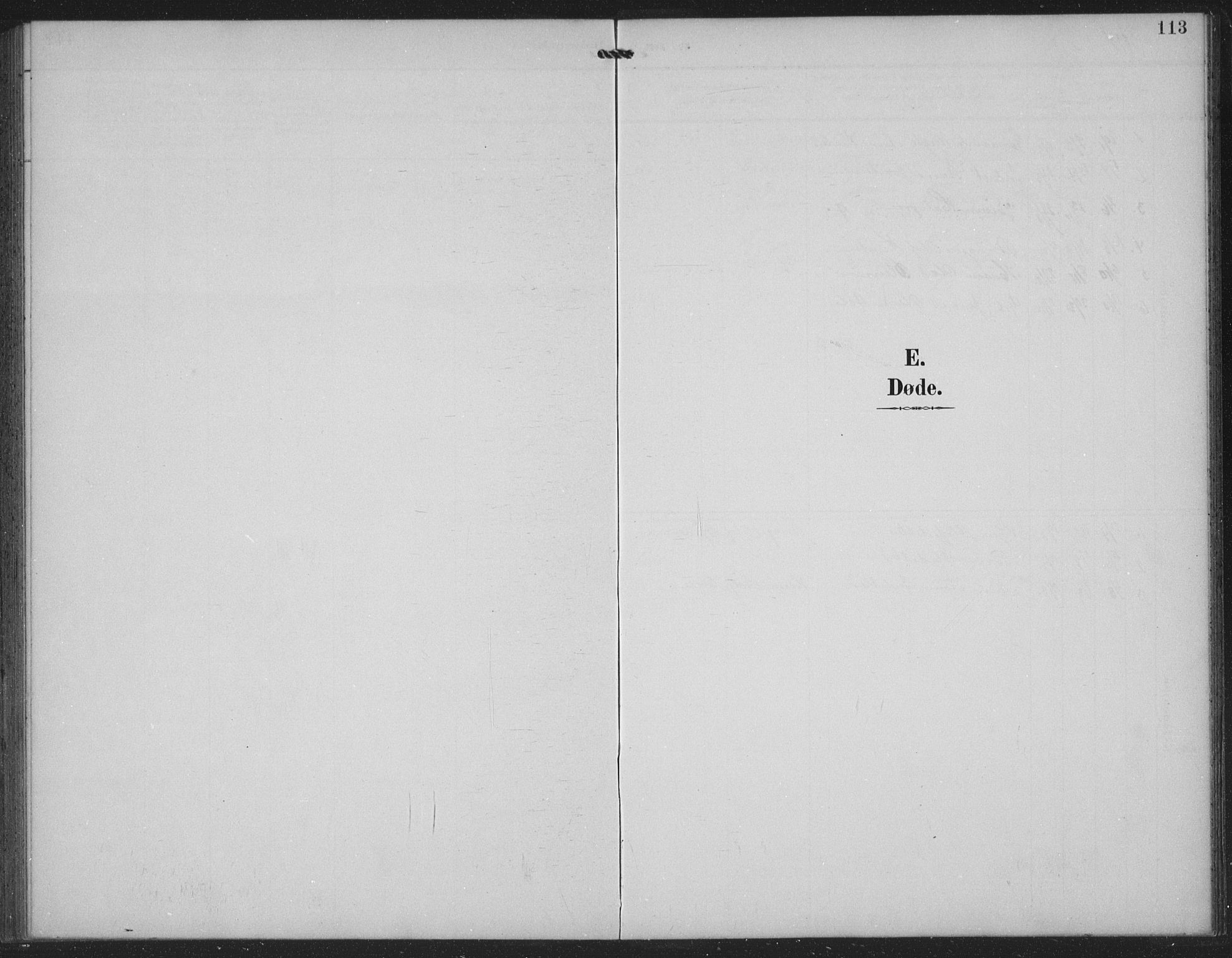 Seljord kirkebøker, SAKO/A-20/G/Gc/L0003: Parish register (copy) no. III 3, 1887-1926, p. 113