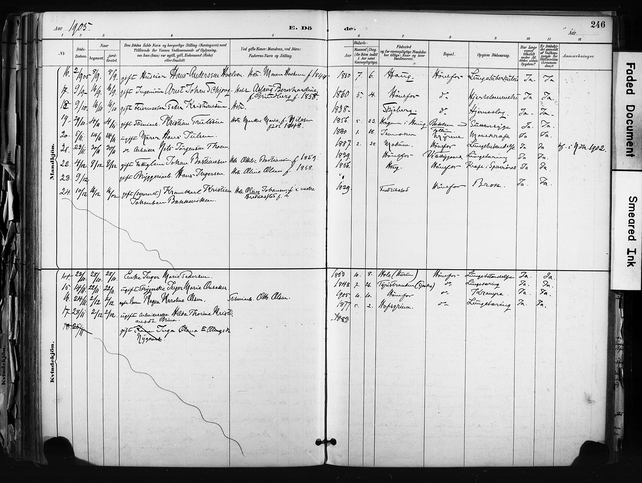 Hønefoss kirkebøker, AV/SAKO-A-609/F/Fa/L0002: Parish register (official) no. 2, 1887-1906, p. 246