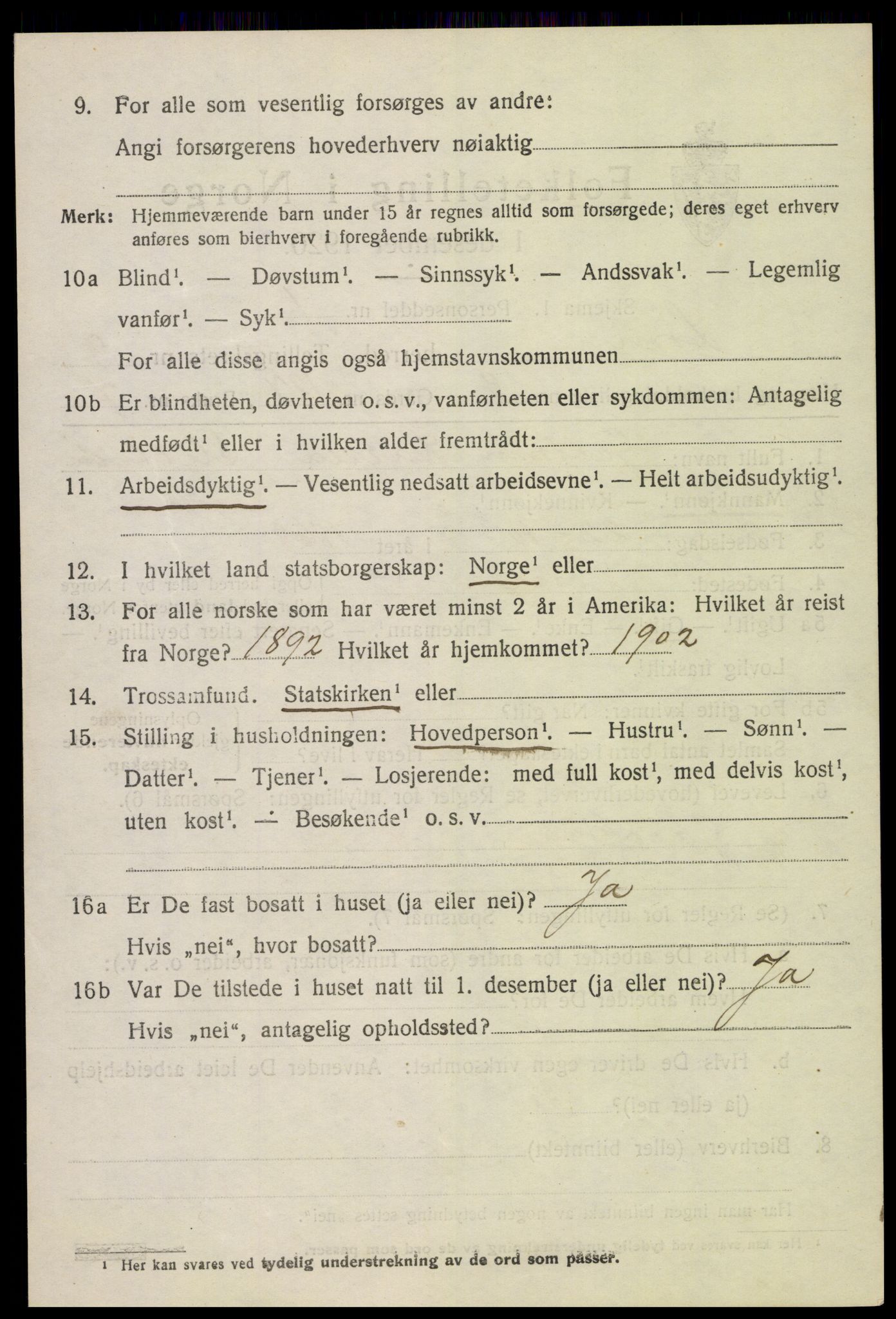 SAH, 1920 census for Lom, 1920, p. 5093