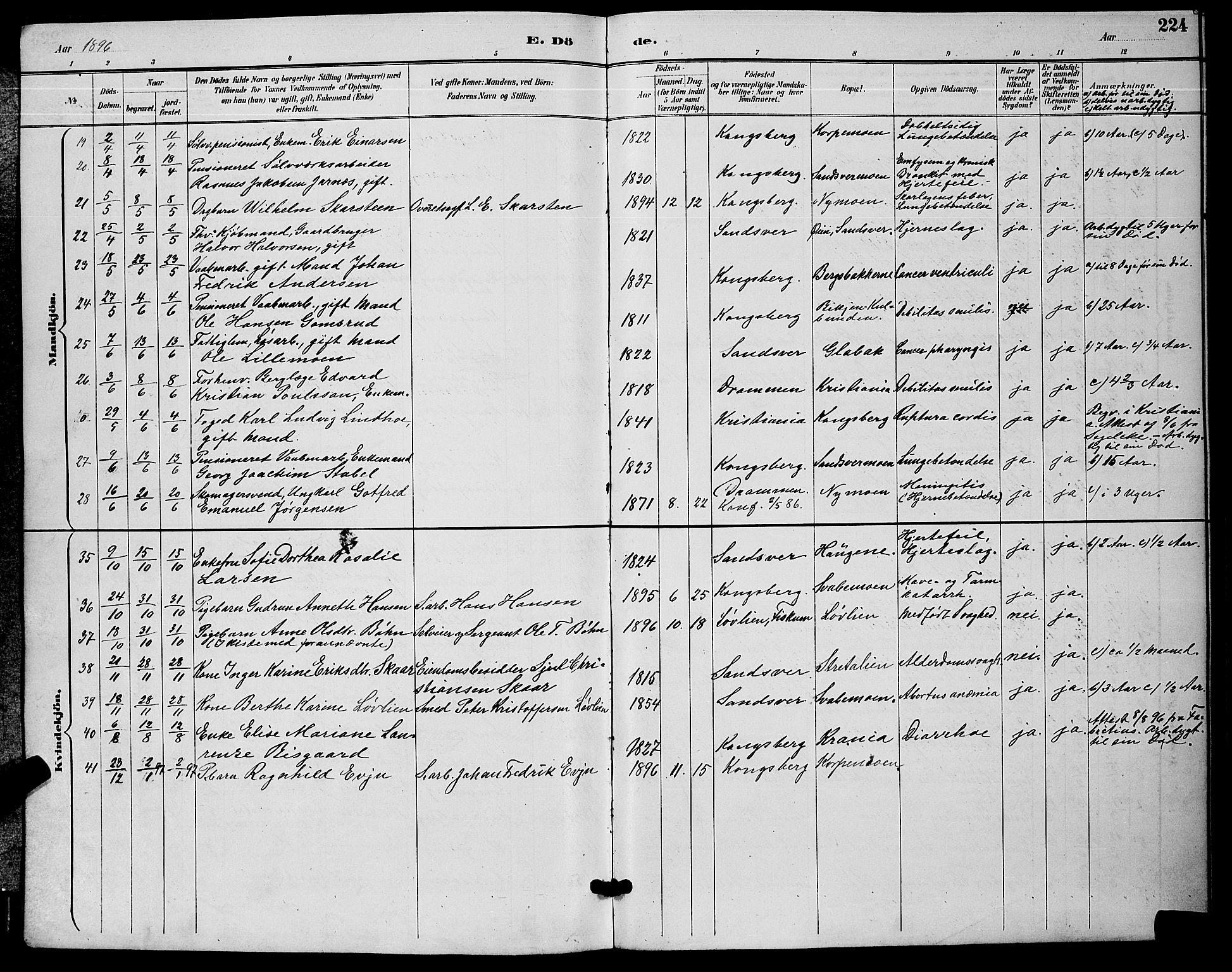 Kongsberg kirkebøker, AV/SAKO-A-22/G/Ga/L0006: Parish register (copy) no. 6, 1890-1901, p. 224