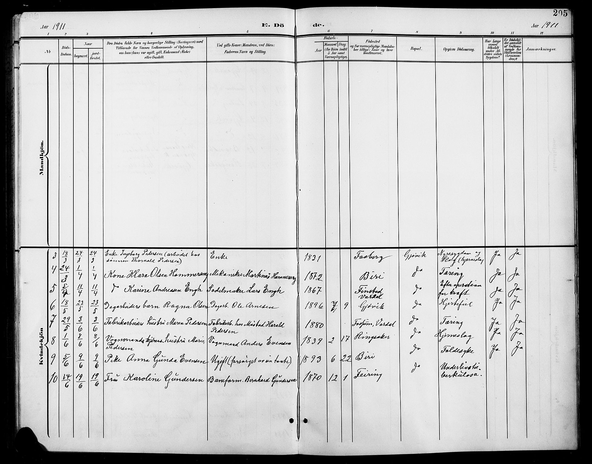 Vardal prestekontor, AV/SAH-PREST-100/H/Ha/Hab/L0012: Parish register (copy) no. 12, 1902-1911, p. 205