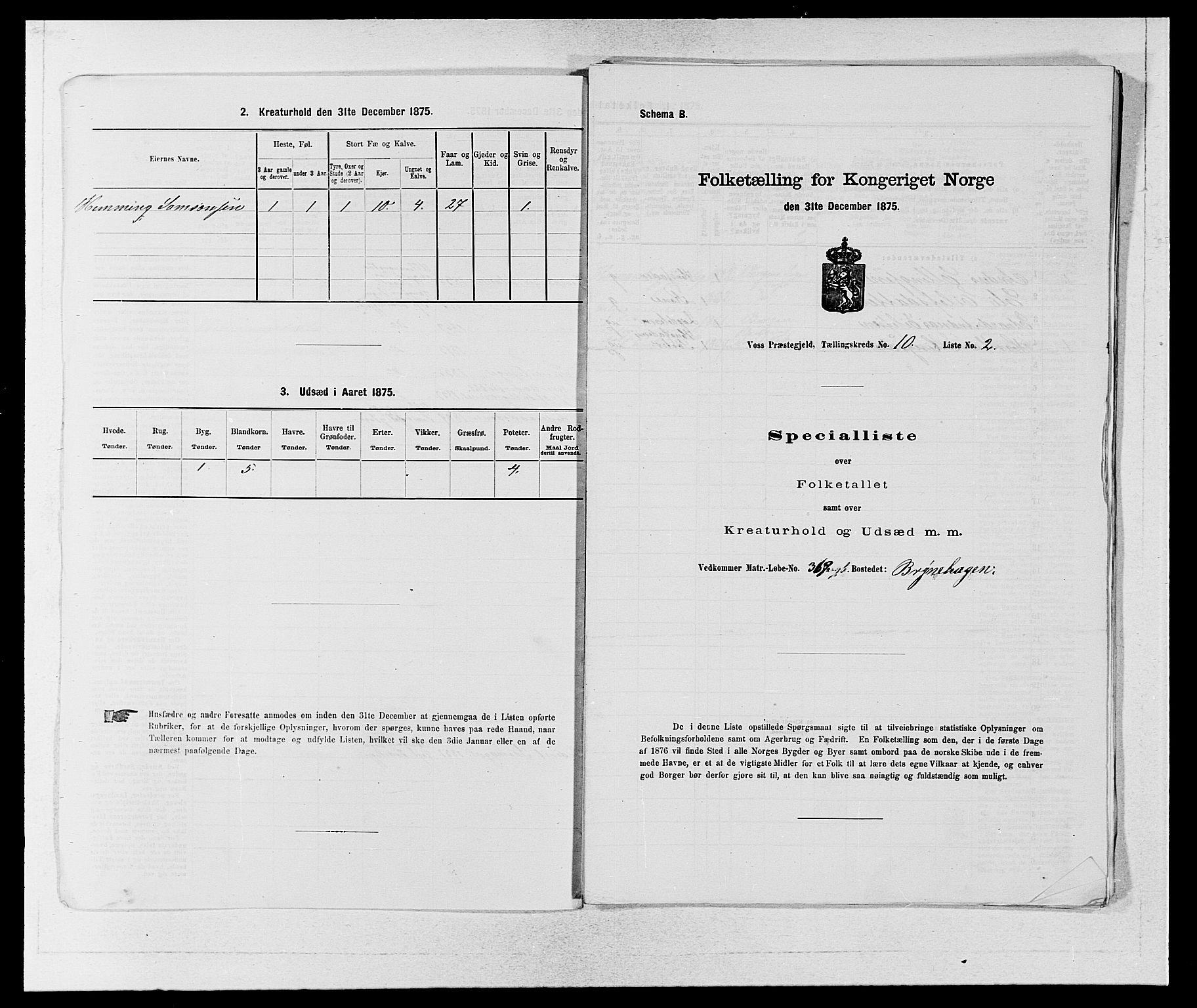 SAB, 1875 census for 1235P Voss, 1875, p. 1155