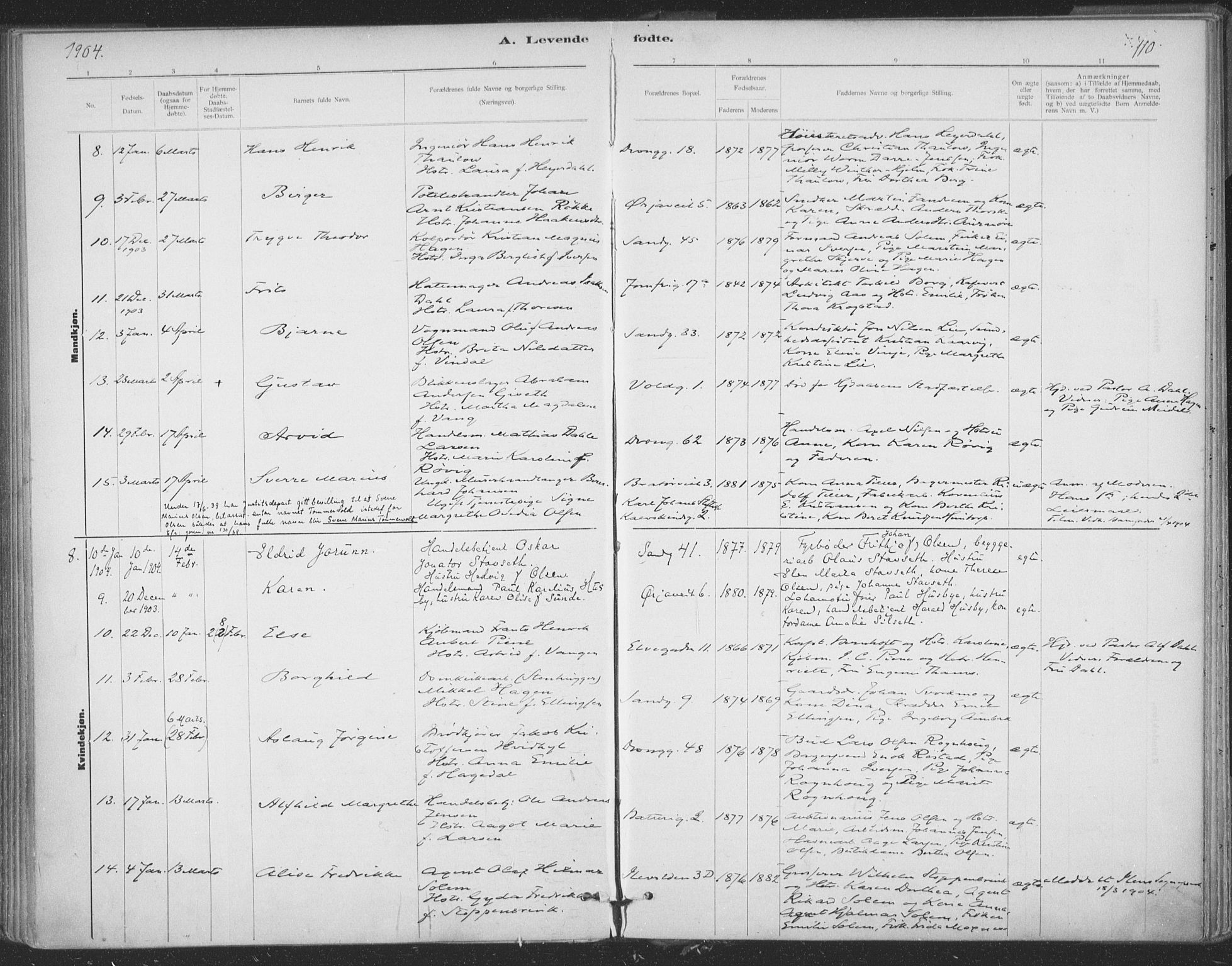 Ministerialprotokoller, klokkerbøker og fødselsregistre - Sør-Trøndelag, SAT/A-1456/602/L0122: Parish register (official) no. 602A20, 1892-1908, p. 110