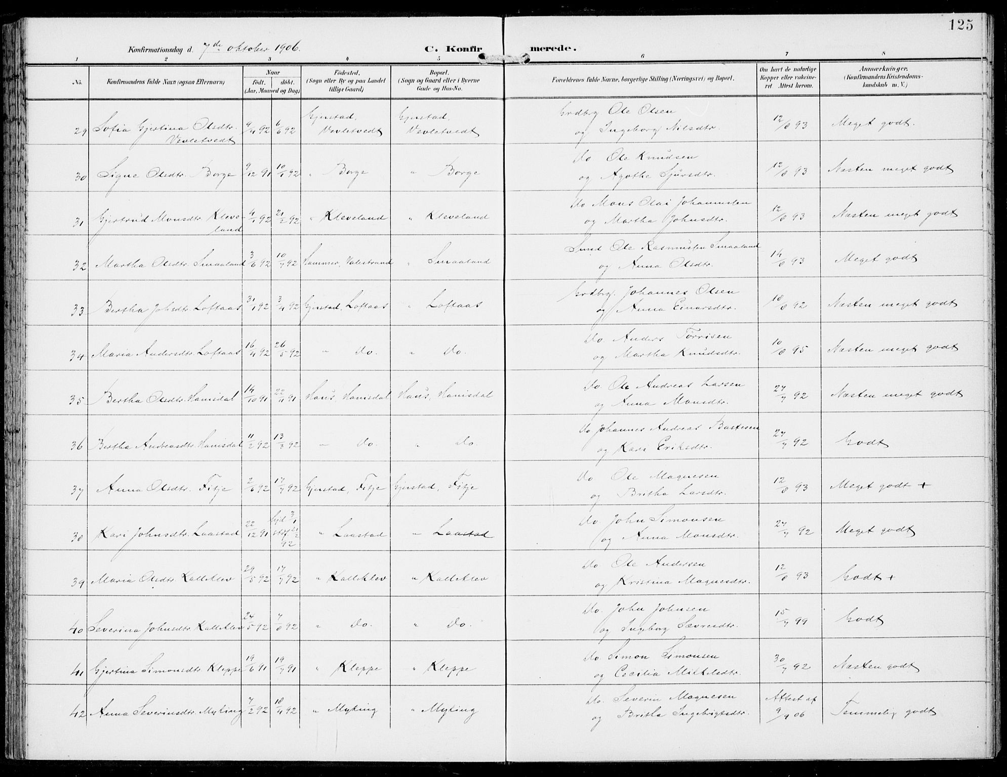 Haus sokneprestembete, AV/SAB-A-75601/H/Haa: Parish register (official) no. C  2, 1900-1915, p. 125