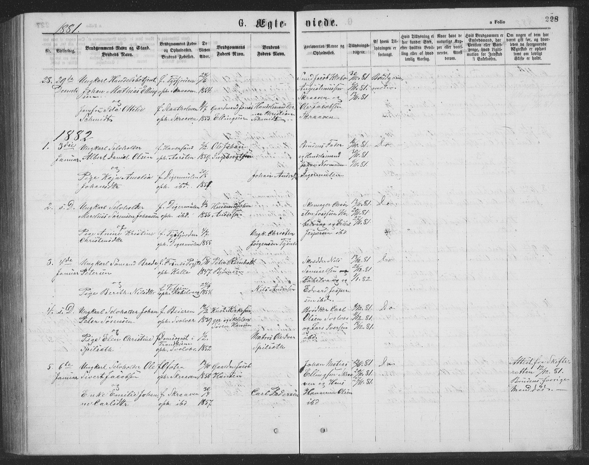 Ministerialprotokoller, klokkerbøker og fødselsregistre - Nordland, AV/SAT-A-1459/874/L1075: Parish register (copy) no. 874C04, 1876-1883, p. 228