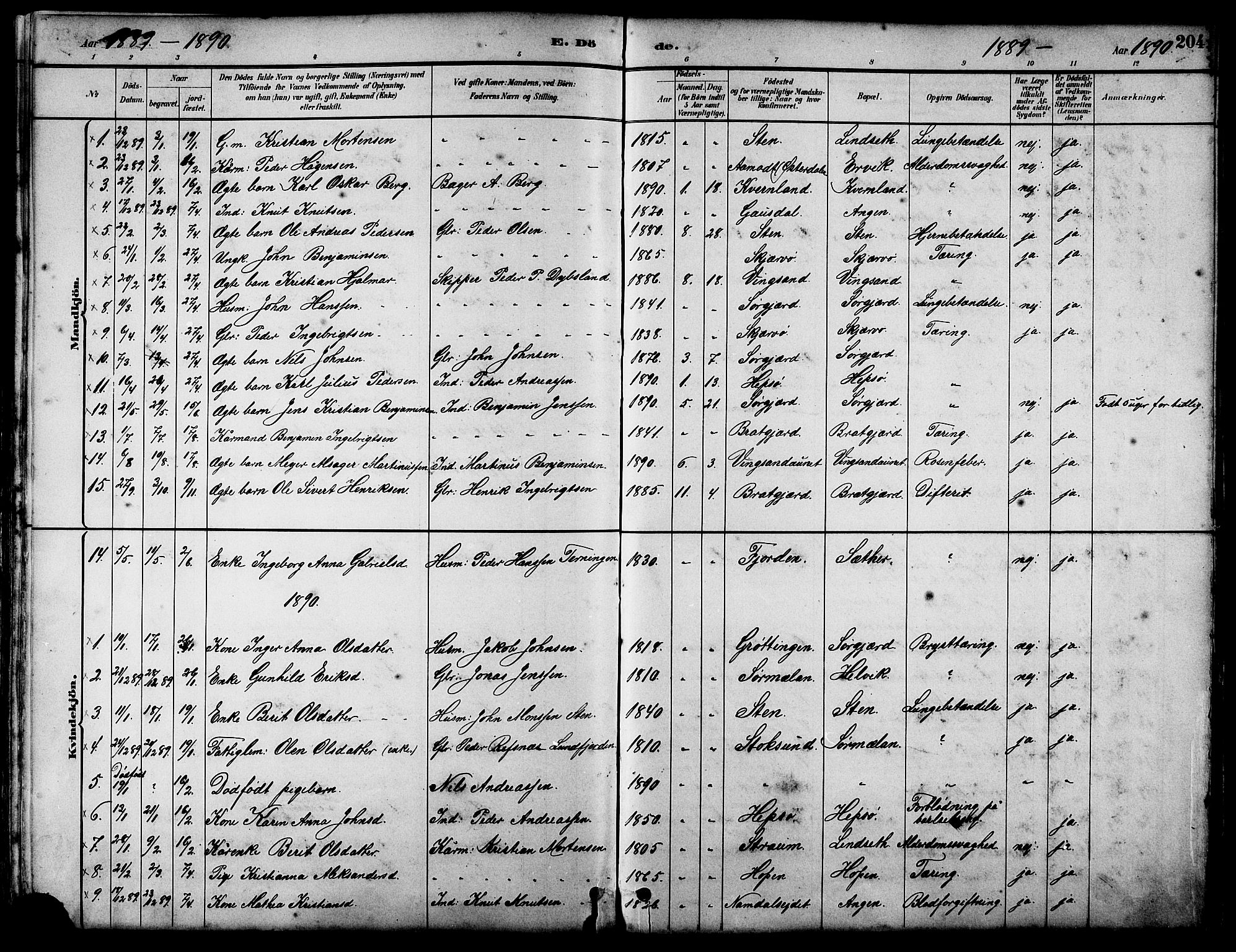 Ministerialprotokoller, klokkerbøker og fødselsregistre - Sør-Trøndelag, SAT/A-1456/658/L0726: Parish register (copy) no. 658C02, 1883-1908, p. 204