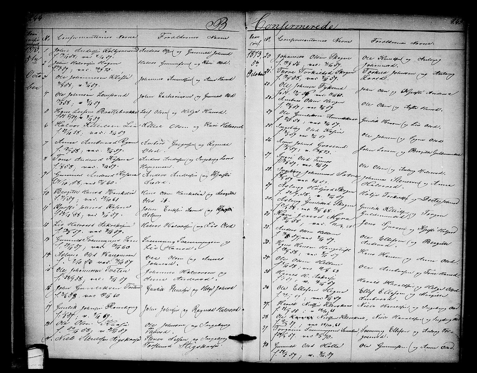 Heddal kirkebøker, SAKO/A-268/G/Ga/L0001: Parish register (copy) no. I 1, 1866-1878, p. 244-245