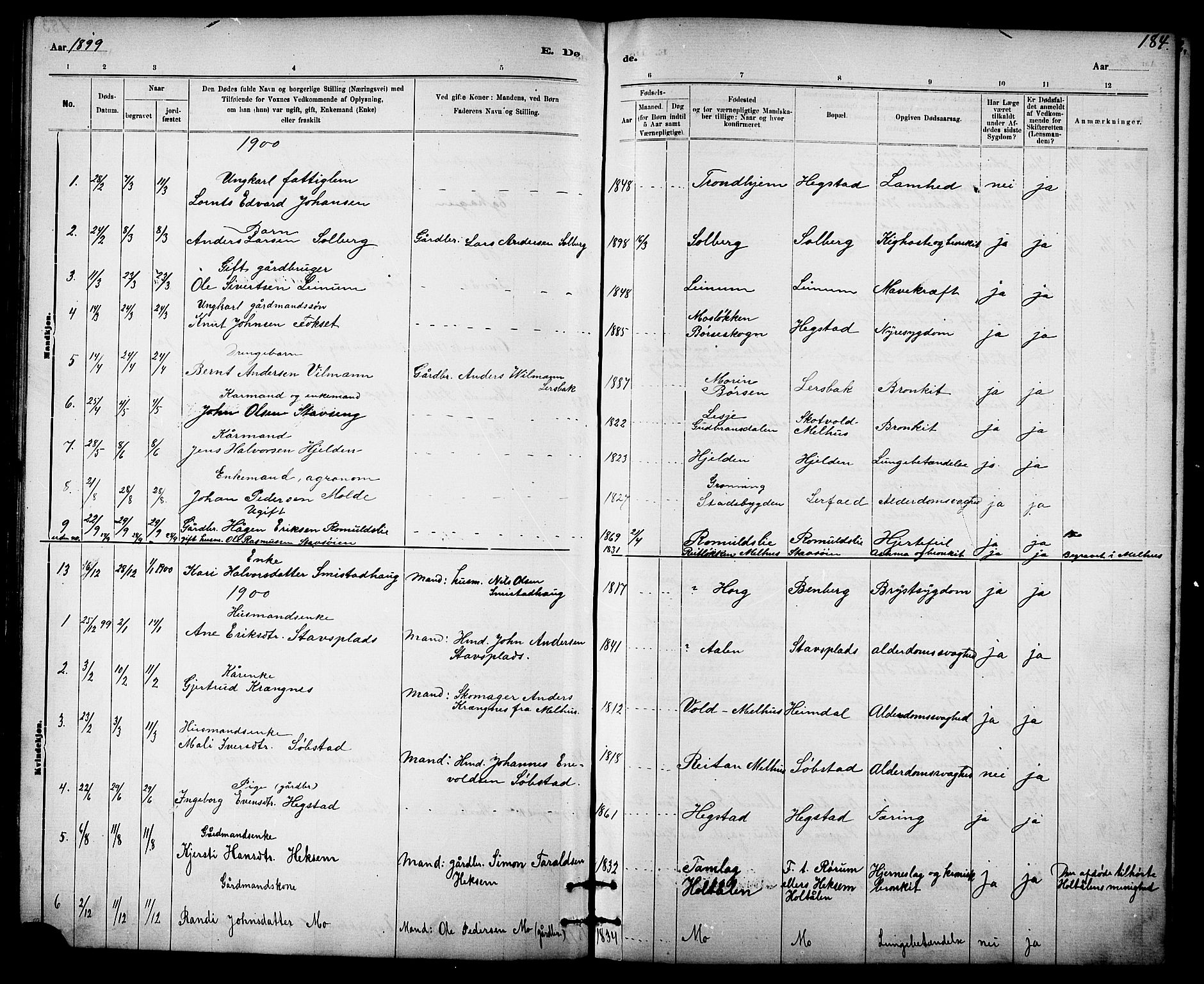 Ministerialprotokoller, klokkerbøker og fødselsregistre - Sør-Trøndelag, SAT/A-1456/613/L0395: Parish register (copy) no. 613C03, 1887-1909, p. 184