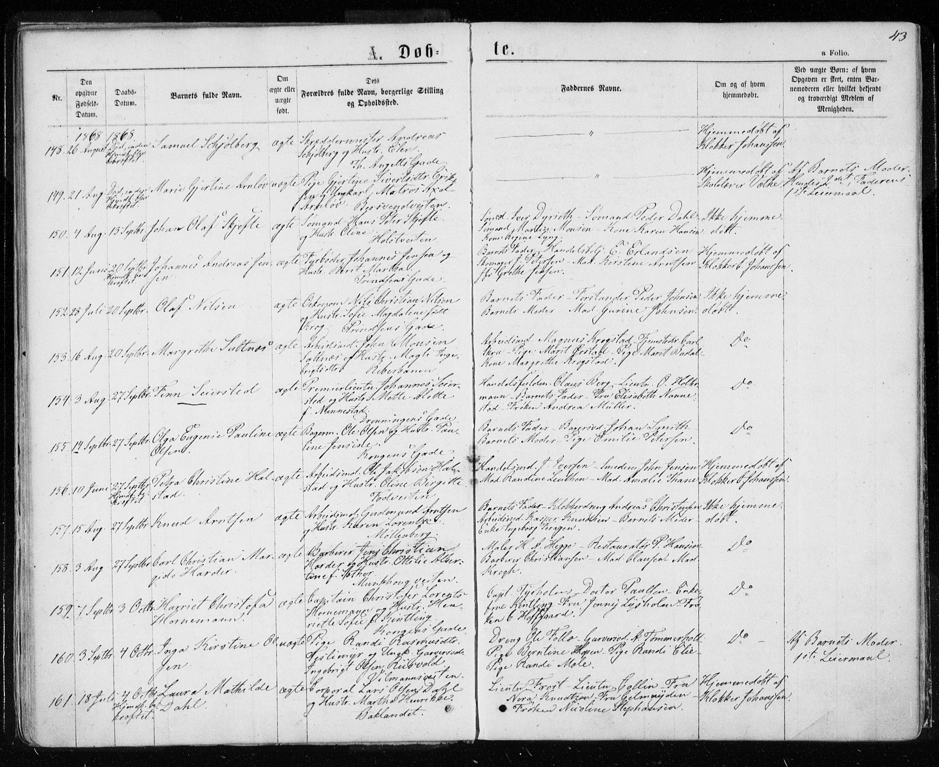 Ministerialprotokoller, klokkerbøker og fødselsregistre - Sør-Trøndelag, AV/SAT-A-1456/601/L0054: Parish register (official) no. 601A22, 1866-1877, p. 43