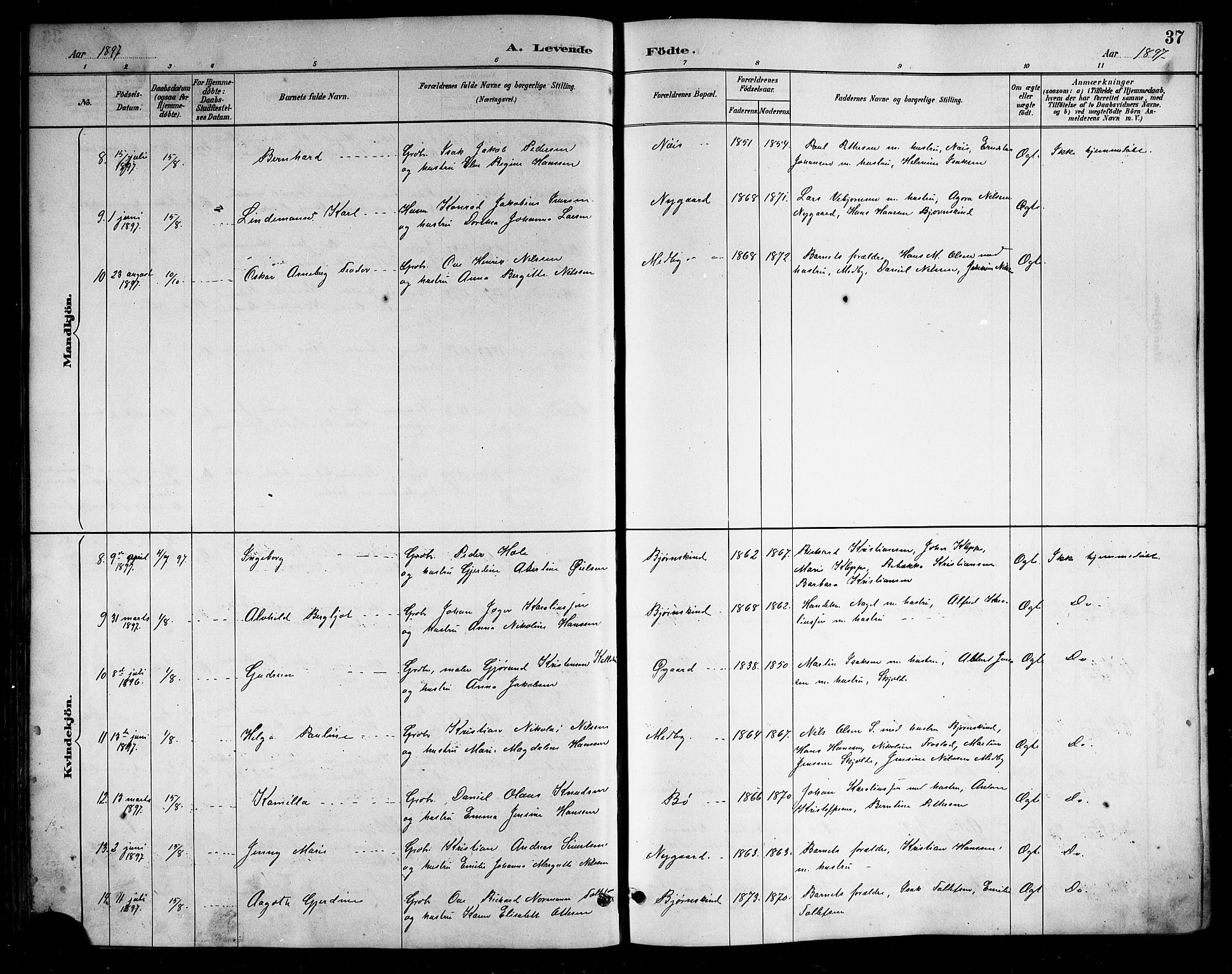 Ministerialprotokoller, klokkerbøker og fødselsregistre - Nordland, AV/SAT-A-1459/898/L1427: Parish register (copy) no. 898C02, 1887-1917, p. 37